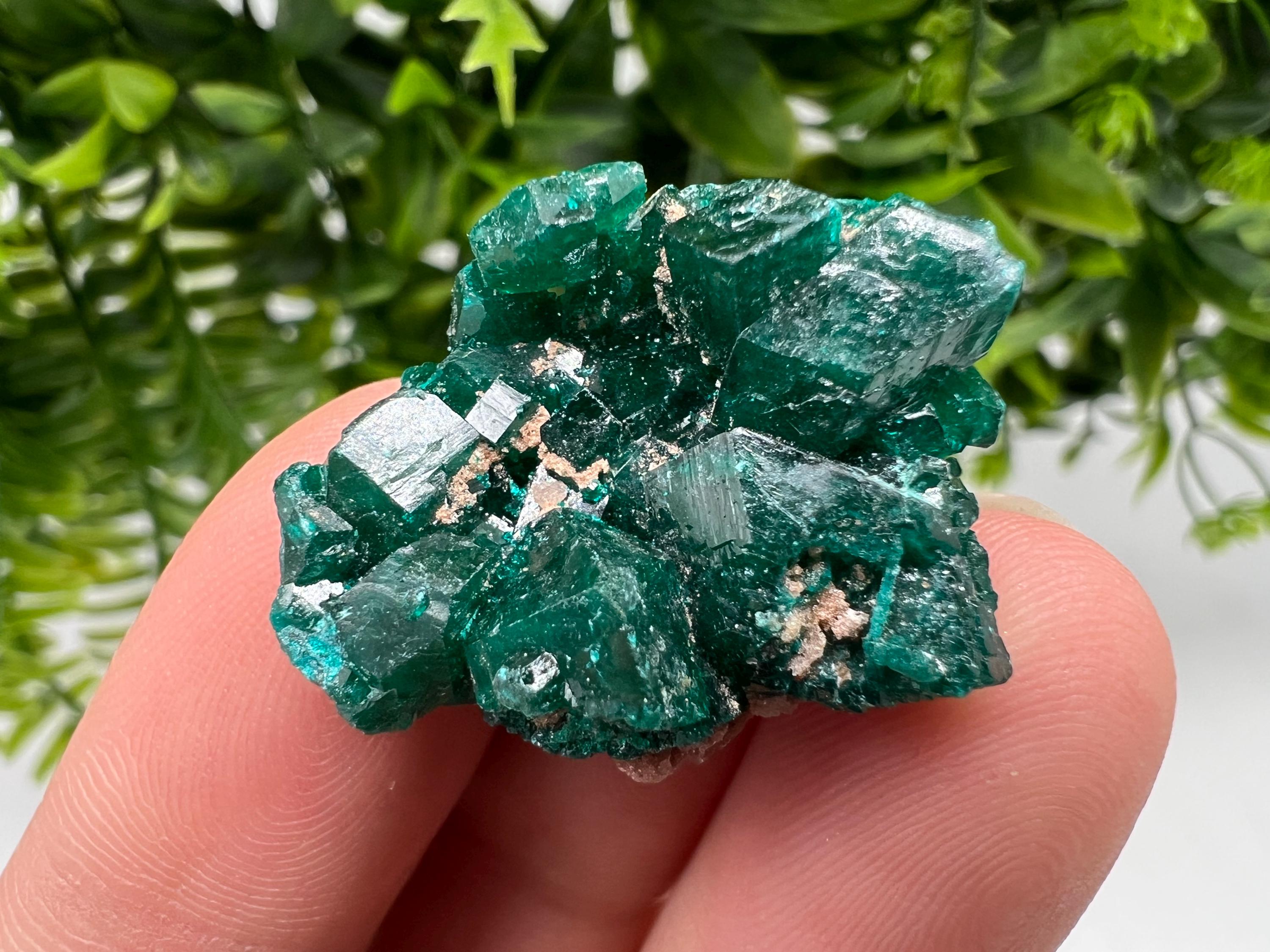 Stunning Green Dioptase from Sanda Hills,Mindouli,Pool Department,Mindouli District,Congo,green Dioptase,Dioptas Crystal,Dioptase collecting