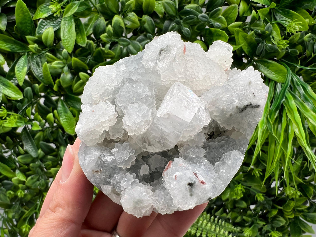 Transparent Apophyllite on Chalcedony, Natural Crystal Specimen, India Minerals