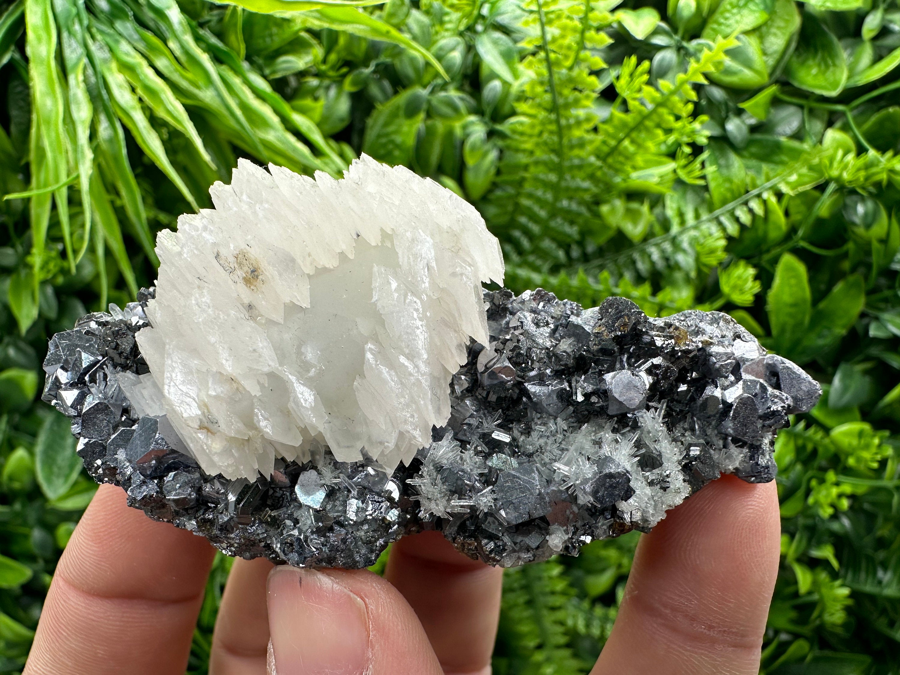 Calcite on Galena, Sphalerite & Quartz, Borieva Mine Mineral Specimen