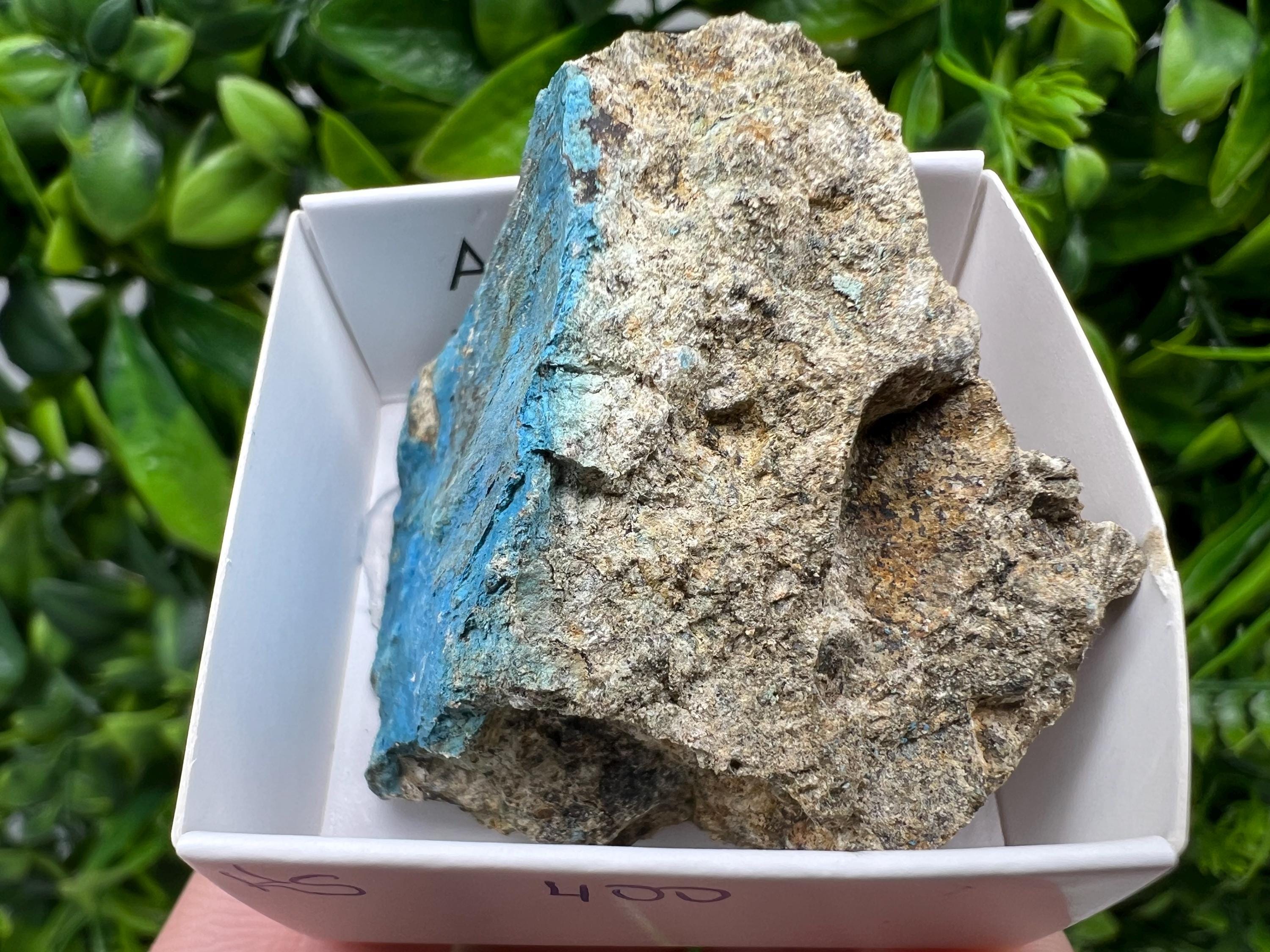 Rare Raw Aerinite Mineral Specimen: Lleida Spain Collection Crystal