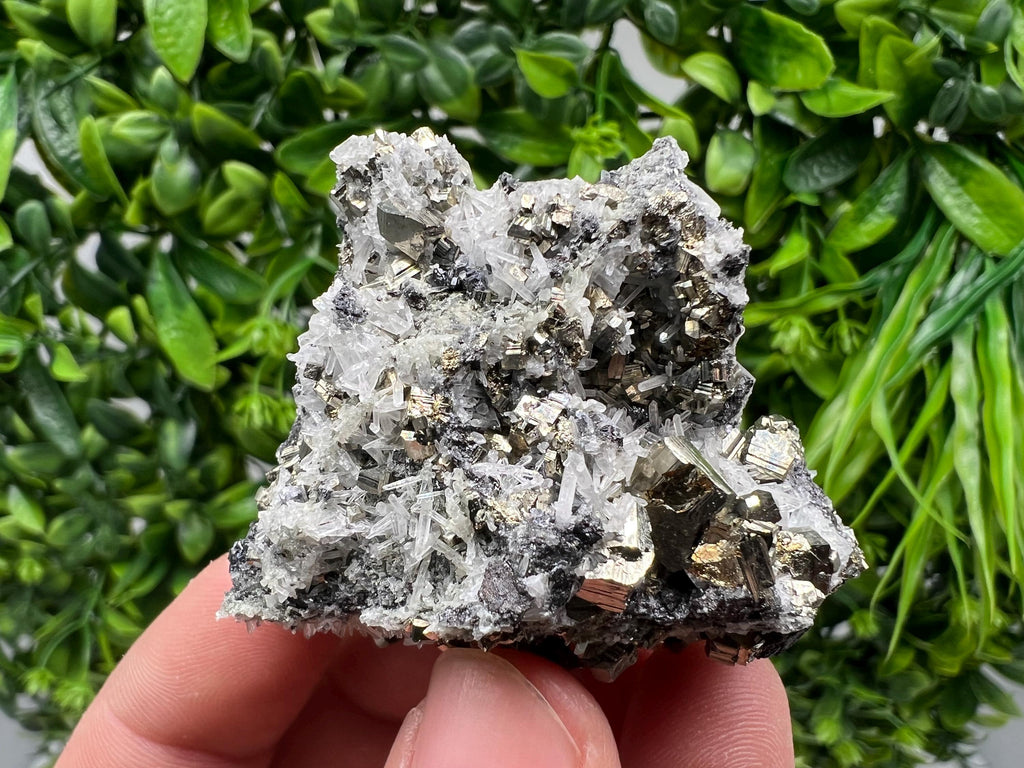 Pyrite on Green Quartz Mineral Specimen, Borieva Mine Bulgaria
