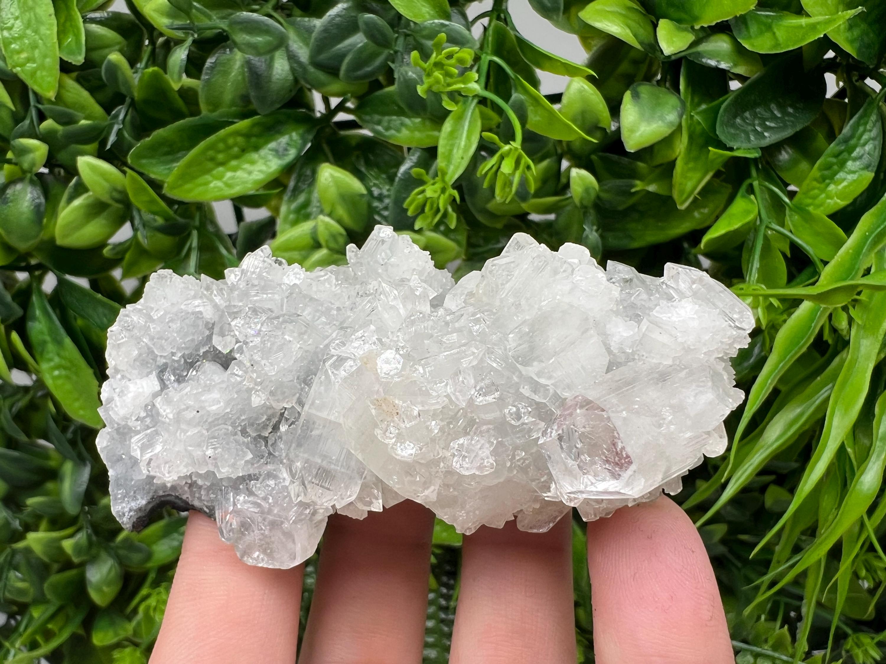 Apophyllite on Chalcedony Specimen: Transparent Crystal, India Minerals