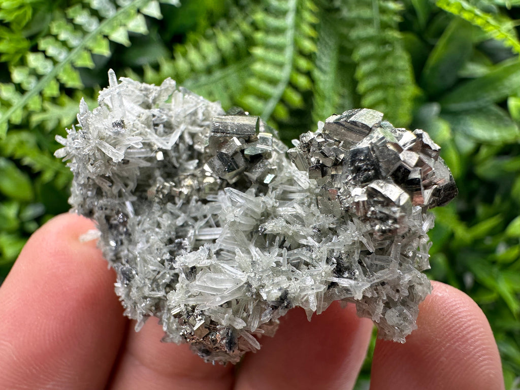 Pyrite on Green Quartz, Borieva Mine Mineral Specimen