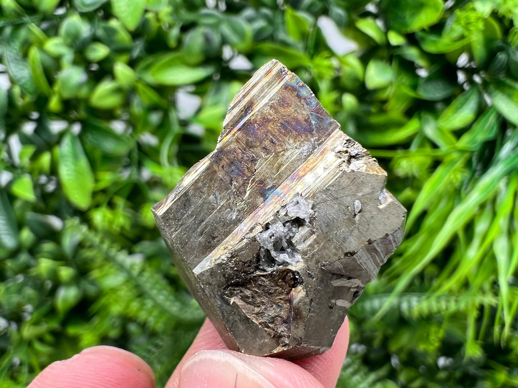 Mini Rainbow Pyrite Cluster, Borieva Mine, Bulgaria