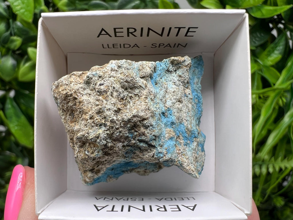 Rare Raw Aerinite Mineral Specimen: Collection Crystal from Lleida, Spain (3.5/3.5cm)