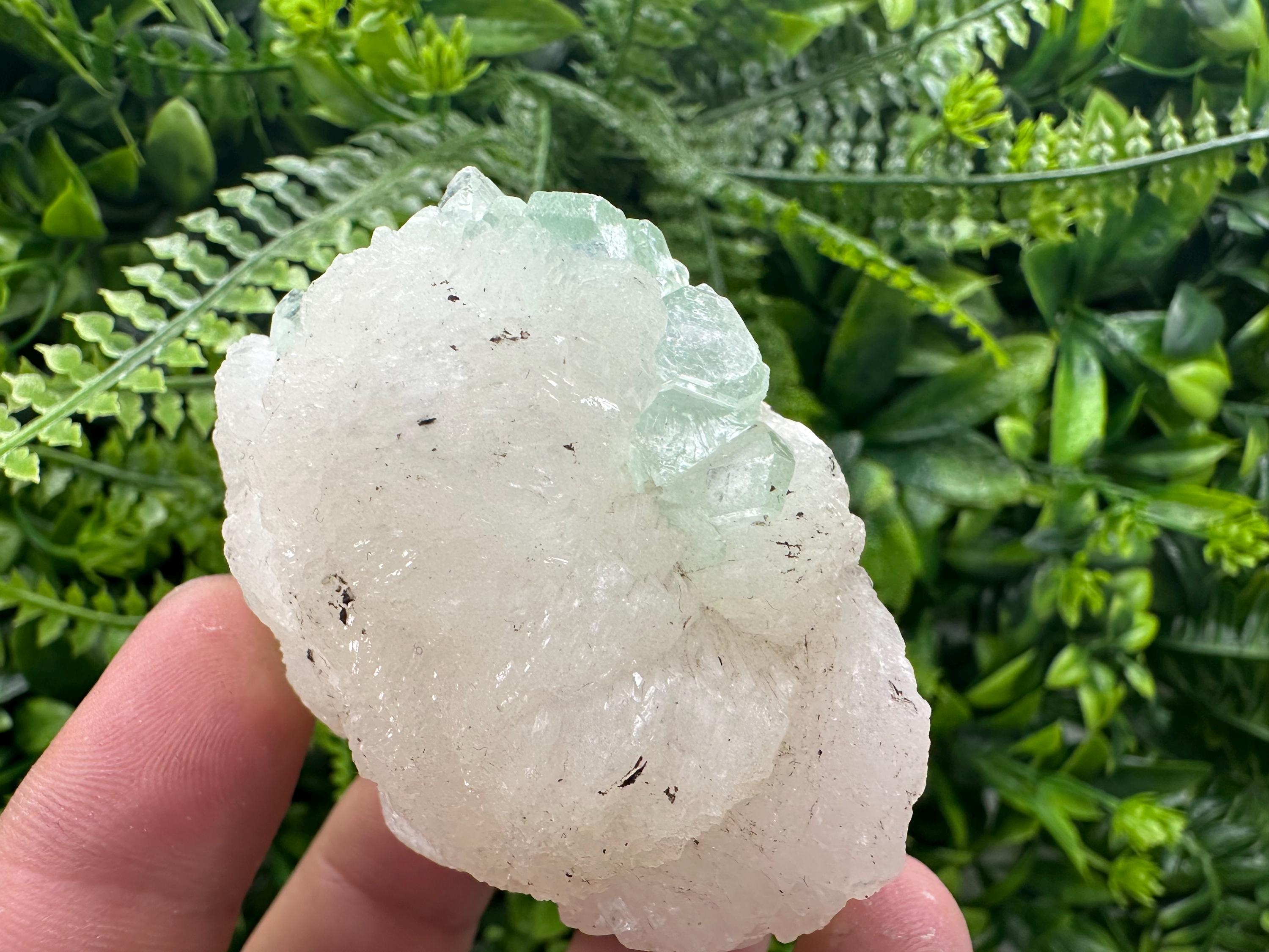 Green Apophyllite with Stilbite, India Crystal Specimen