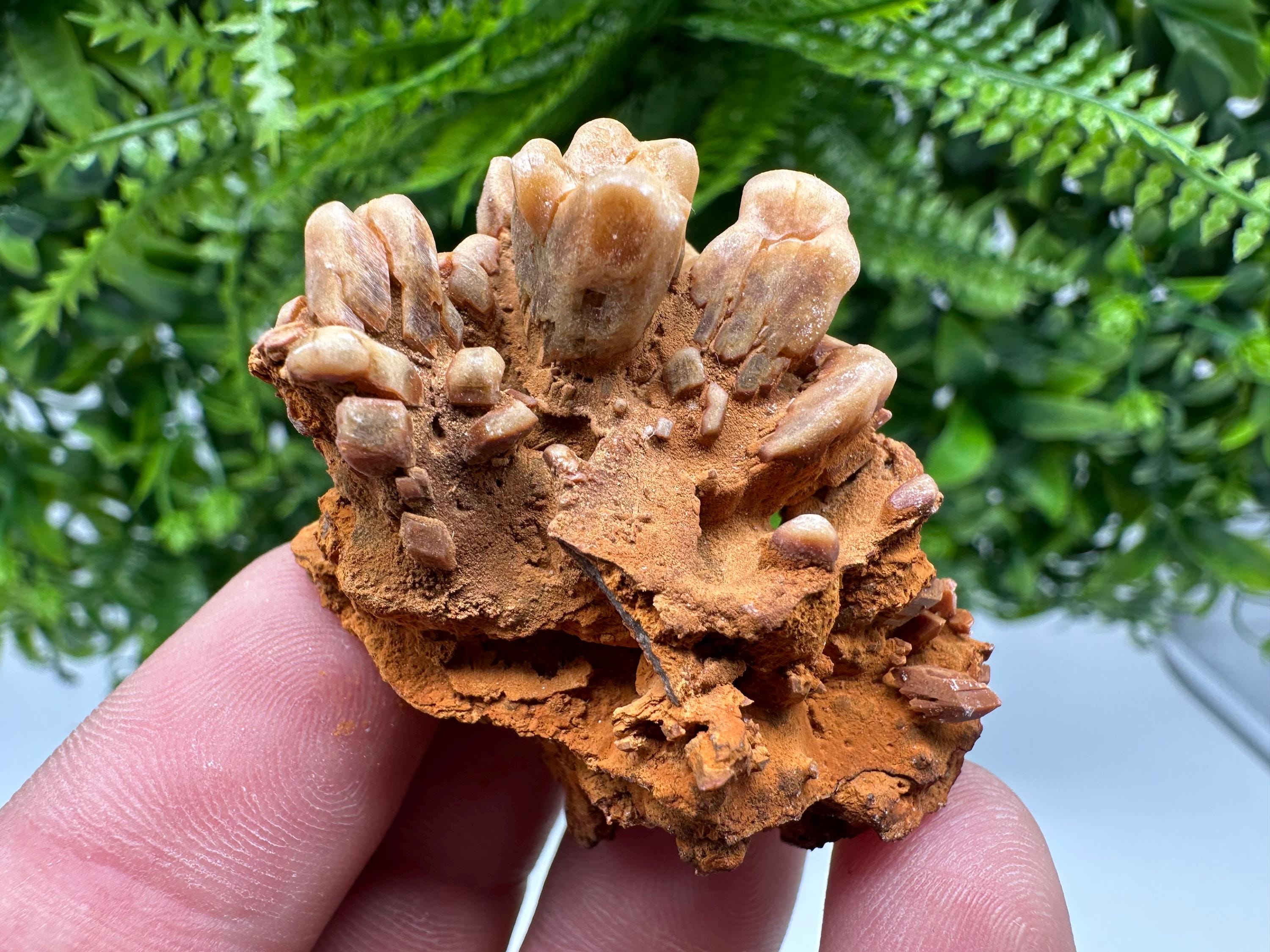 Brown Gypsum Selenite Crystal, Rudna Mine Mineral Specimen