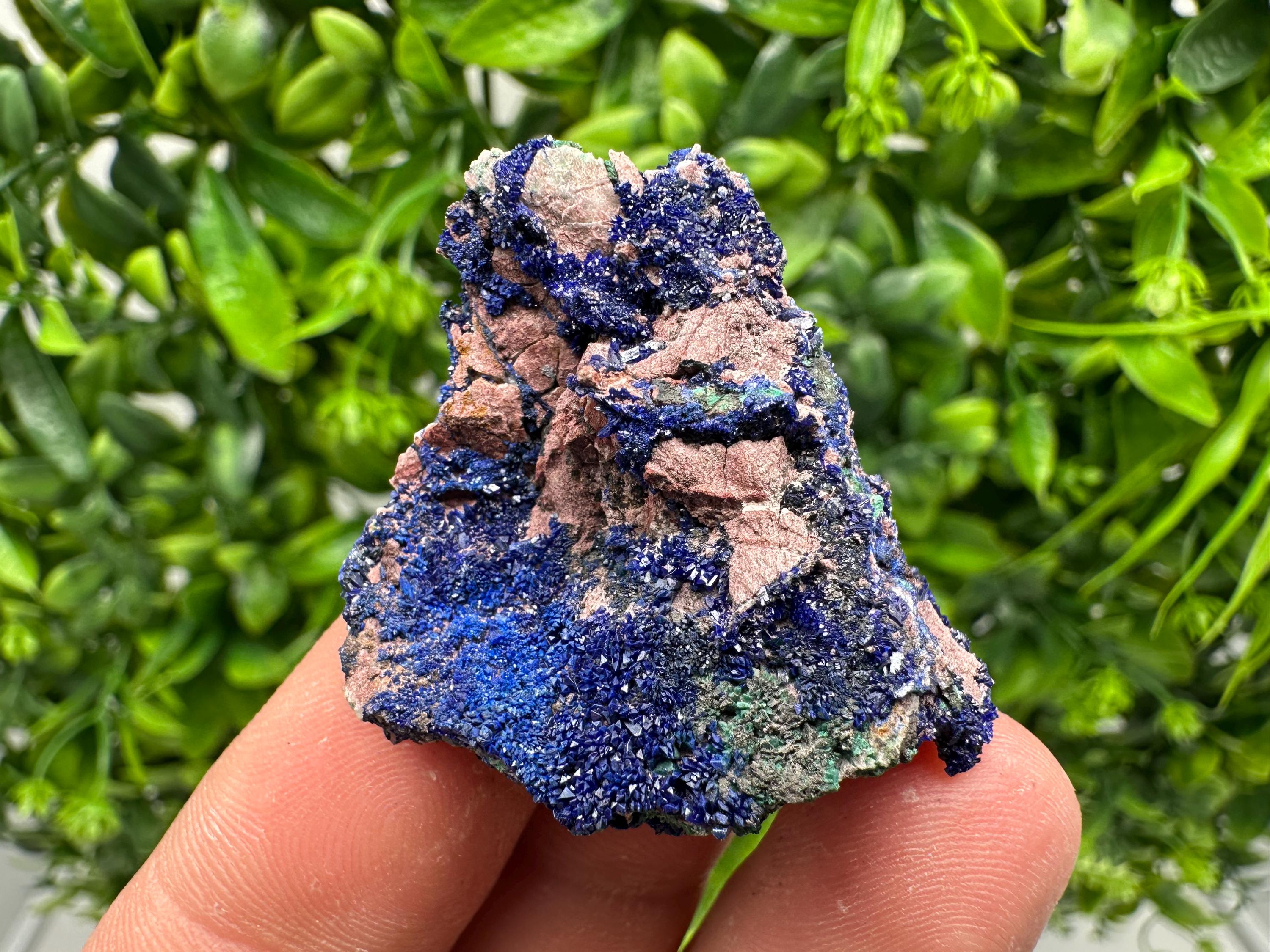 Crystallized Azurite-Kerrouchen,Morocco-Blue Azurite Specimen-High Quality Blue Azurite-Azurite Mineral Specimen, gemmy,lustrous of Azurite