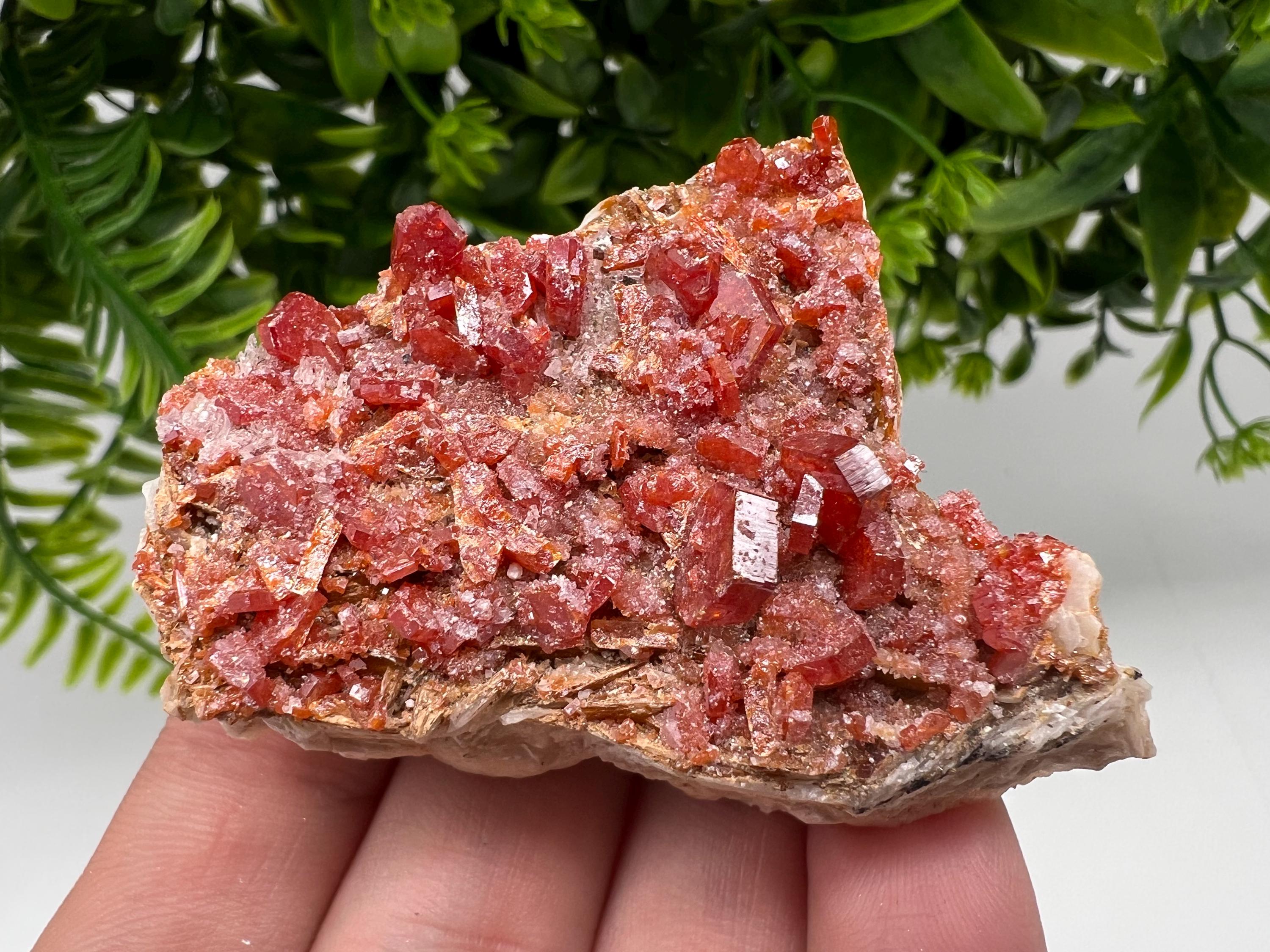 Red Vanadinite on Barite Specimen, Morocco Mineral Cluster