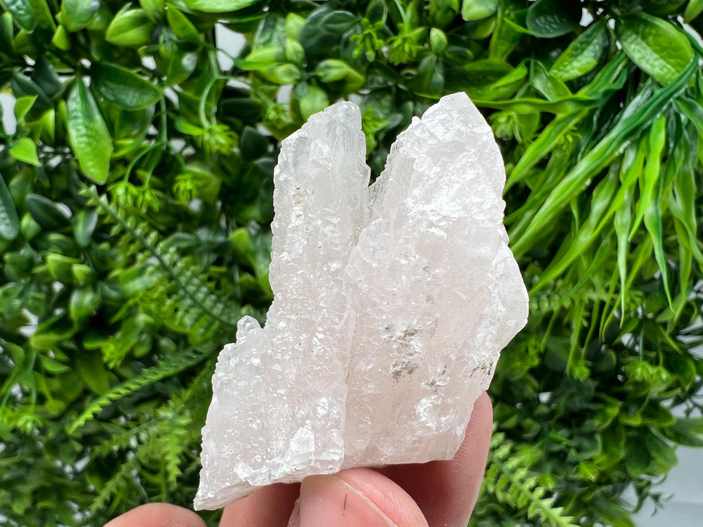Mangano Calcite with Galena, Borieva Mine Crystal, Bulgaria