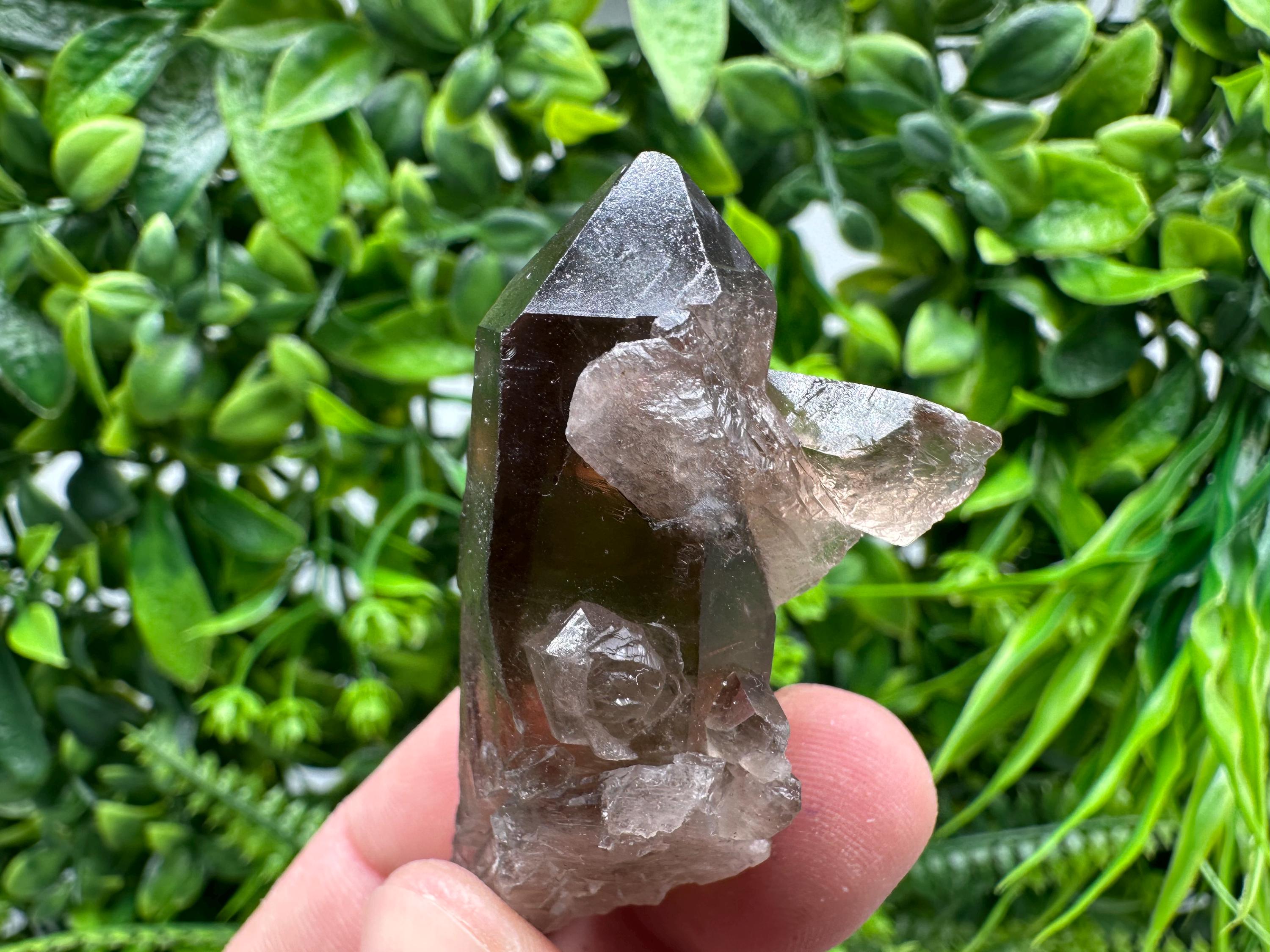 Rare Smoky Quartz Crystal Specimen, Brazil