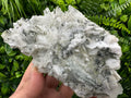 Galena with Pyrite, Quartz, and Calcite Crystal Cluster - Borieva Bulgaria