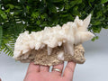 Calcite on Green Quartz, Djurcovo Mine, Bulgaria Crystal