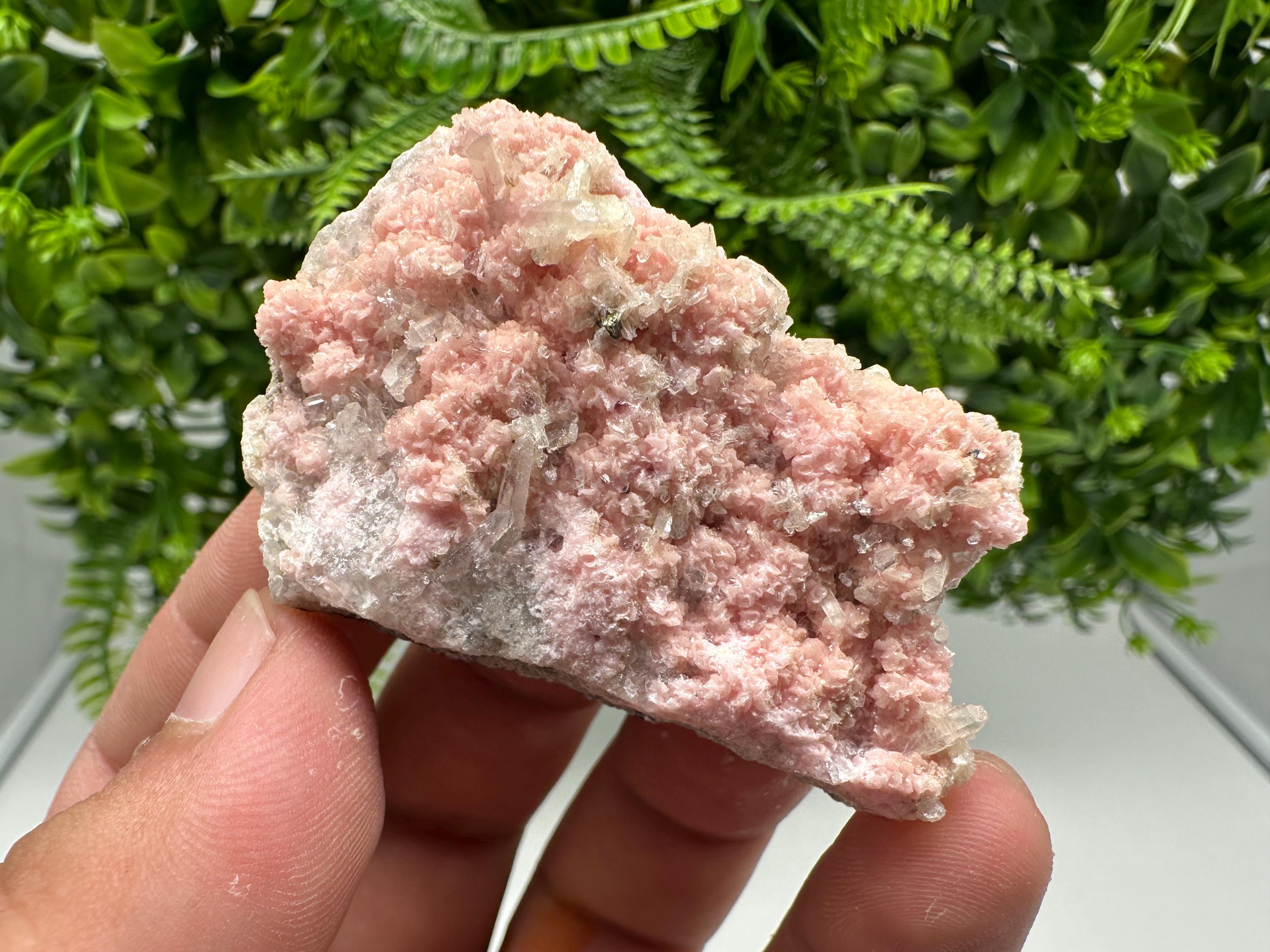 One beautiful cabinet size specimen of rhodochrosite, overgrowth by well-terminated quartz crystals Starnica mine Davidcovo area Bulgaria
