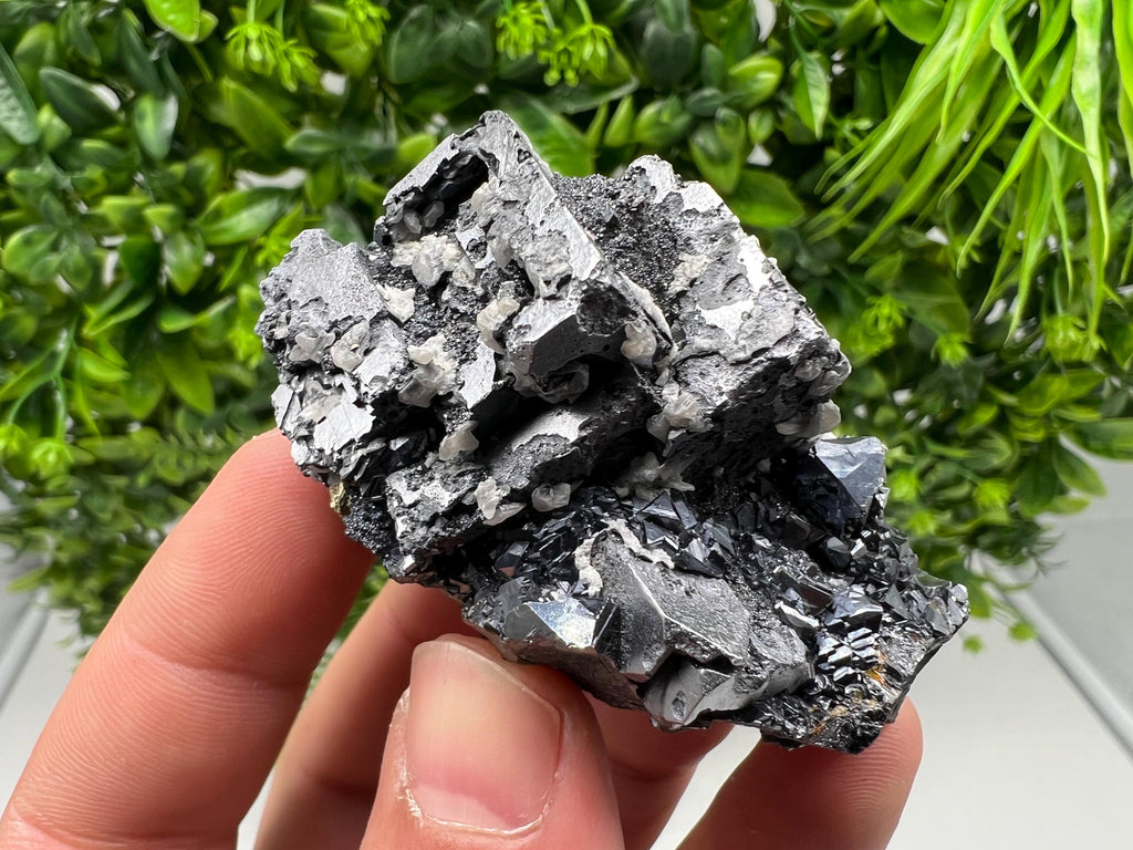 Aesthetic Natural shiny Galena whit Siderite and Quartz from 9 th September mine,Bulgaria,collection specimen,rare galena,Galena cluster