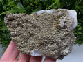 Marcasite Cluster on Chalcedony, Bulgaria Mineral Specimen