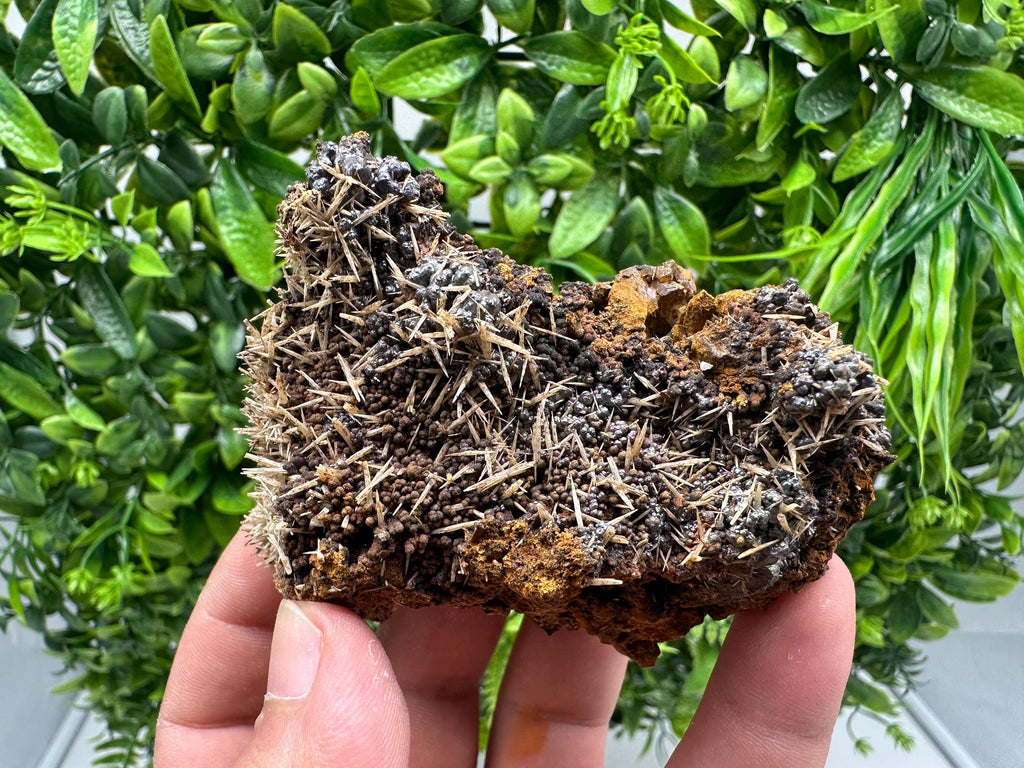 Rare Green/Yellow Pyromorphite and Hematite on Quartz, Bulgaria Mineral