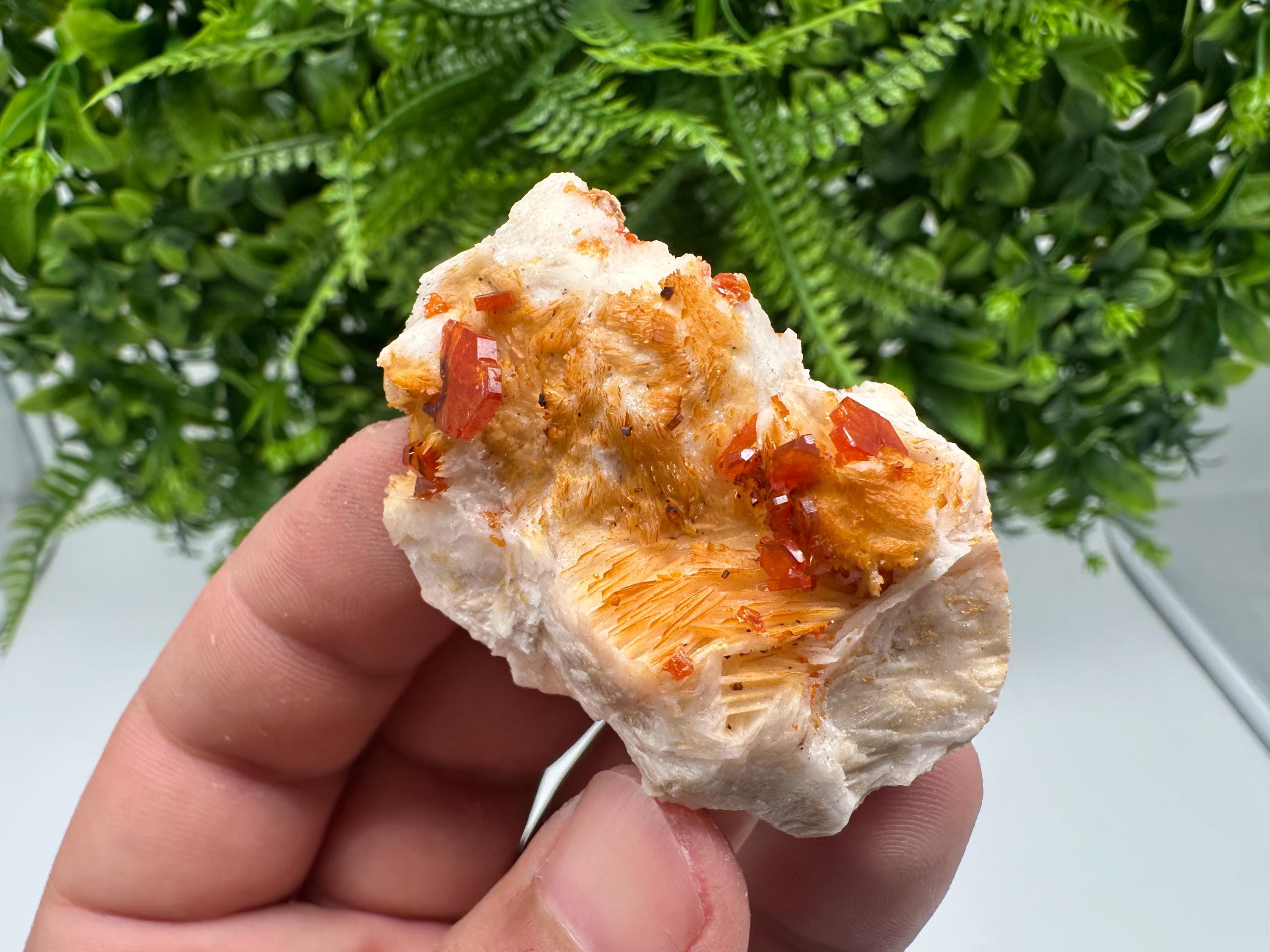 Red Vanadinite on Barite from Marocco,crystal minerals Speciment cluster Vanadinite crystal Vanadinite Geology Vanadinite cluster minerals
