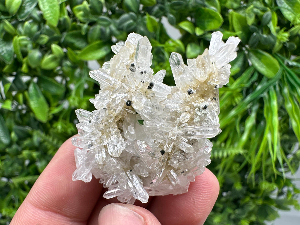 Transparent Quartz Crystal Specimen: Djurcovo Mine, Bulgaria