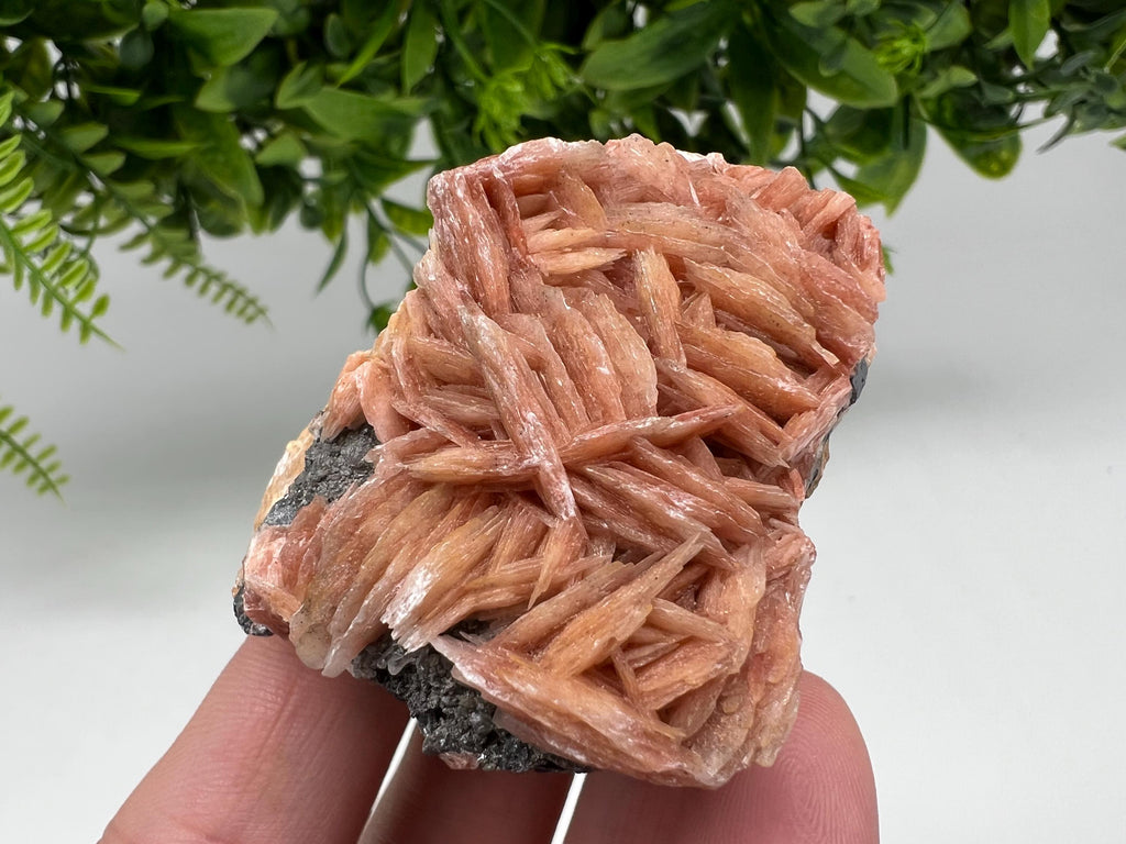 Wonderful Baryte with Cerussite on Galena from Morocco,Crystal, Mineral,Specimen,Cluster,Crystals,Barite Crystal,Cerussite Crystal,Specimen