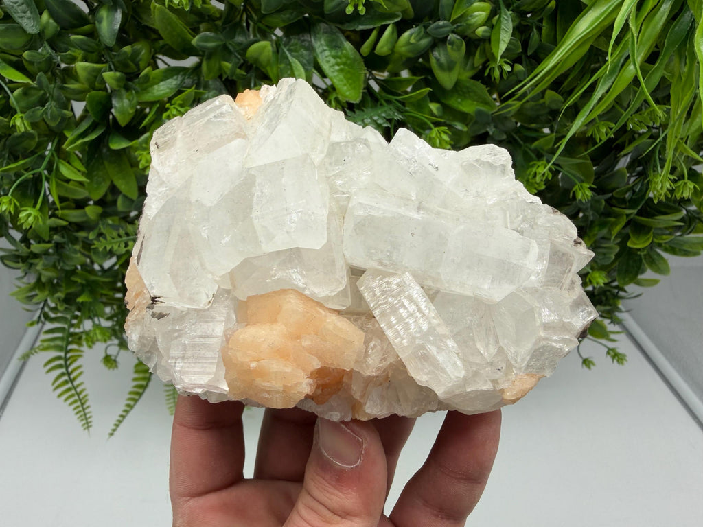 Apophyllite Stilbite Chalcedony Specimen: India Minerals, Crystal Stone