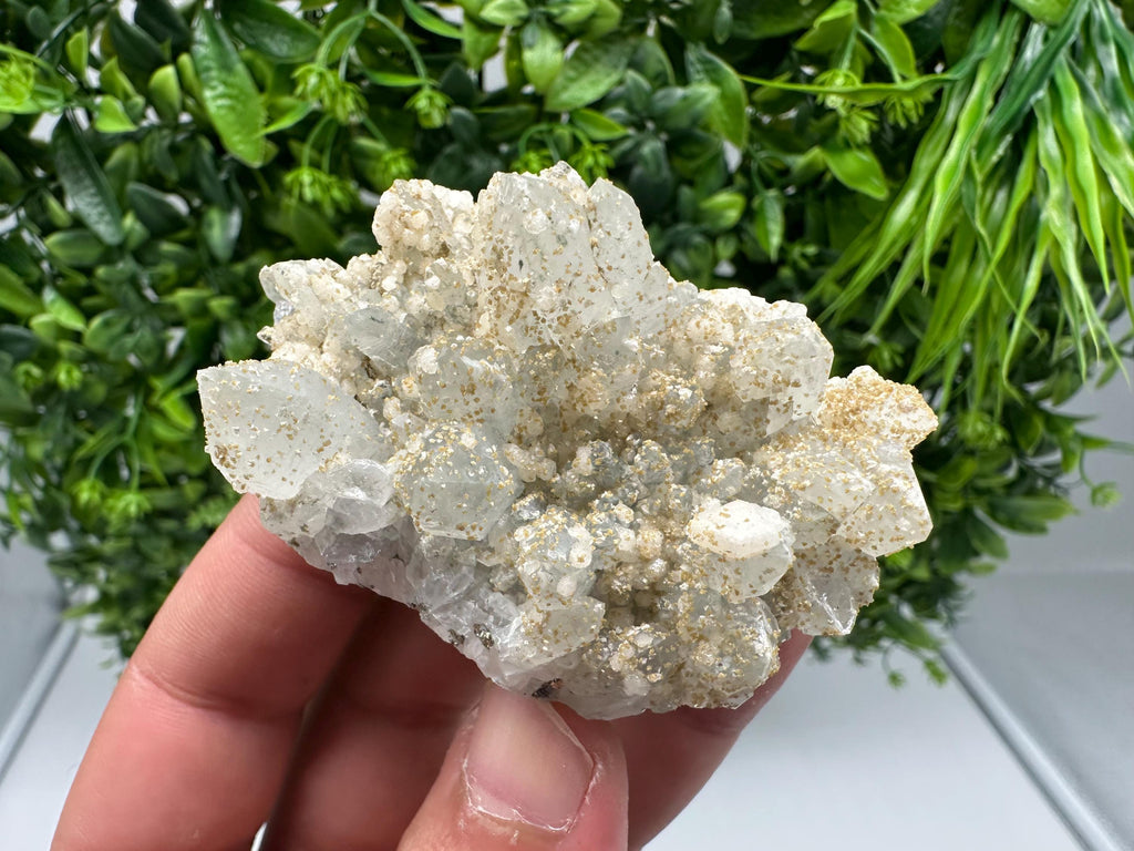 Quartz whit Brown Rhodochrosite from Djurcovo mine,Bulgaria,Quartz,Rhodochrosite cluster,natural mineral,collection crystal,mineral specimen