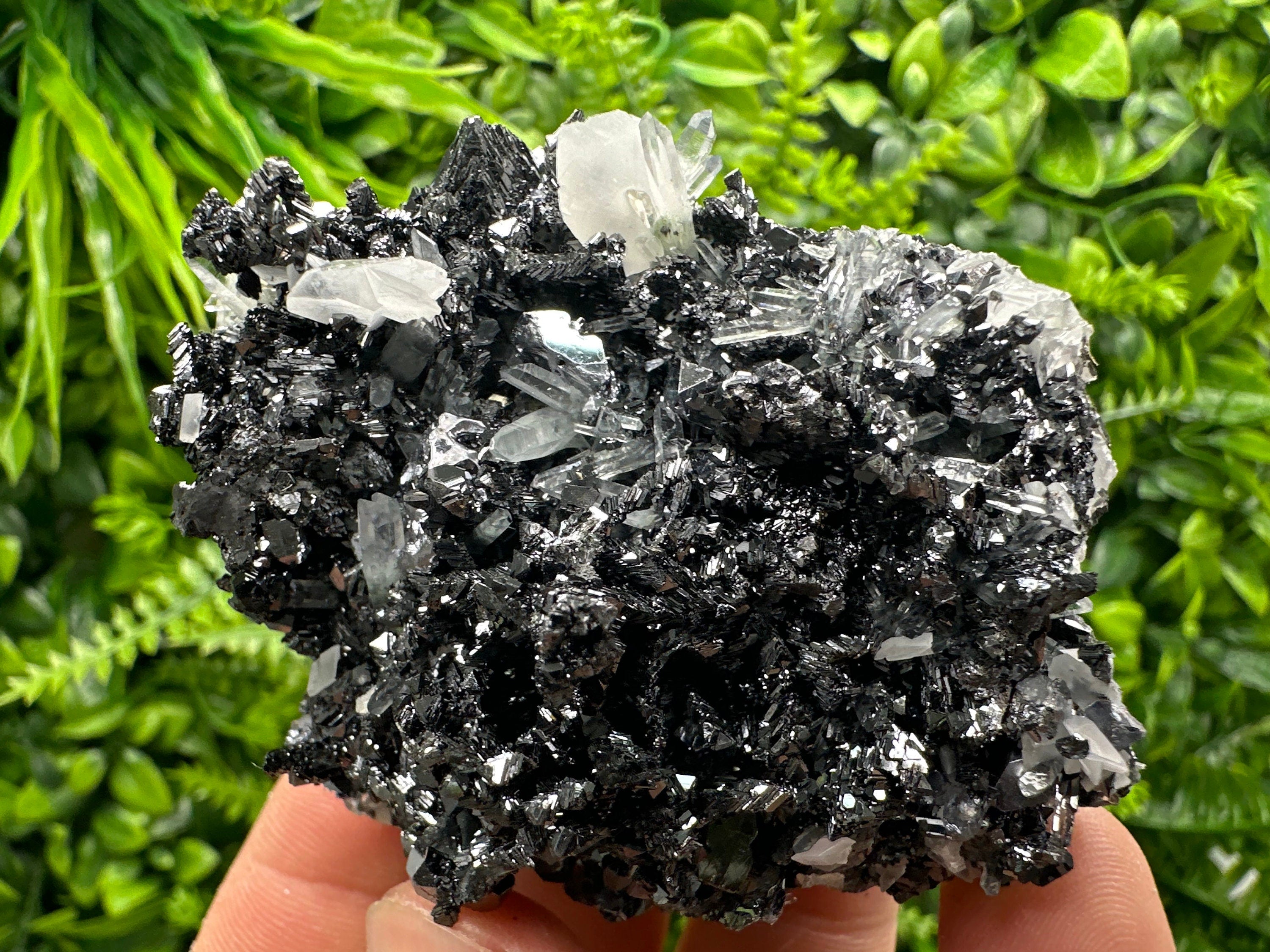 Pyrite Calcite on Sphalerite with Quartz, Bulgaria Mineral Specimen