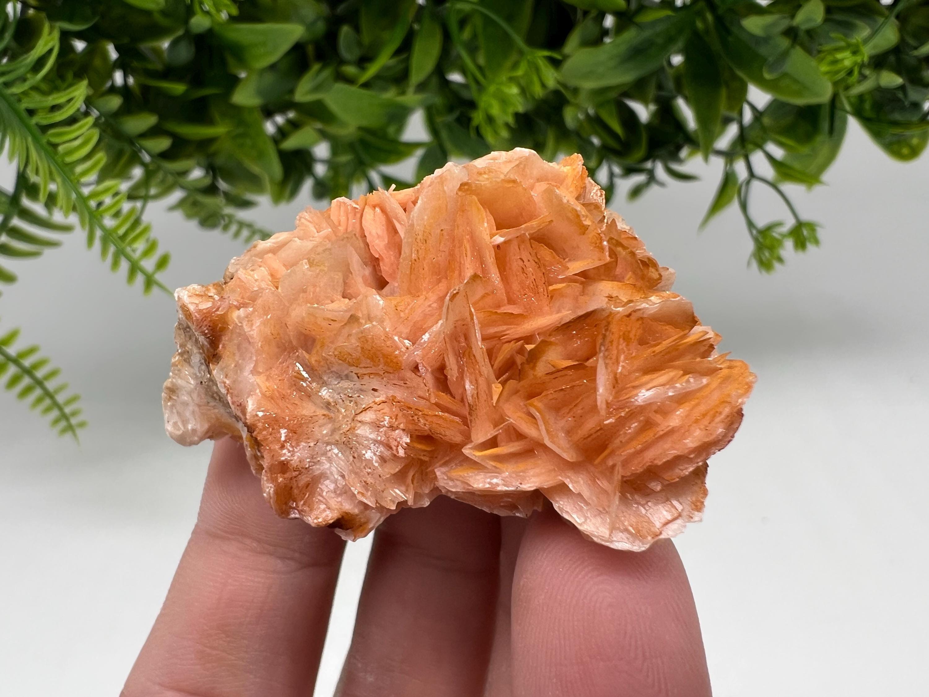 Wonderful Baryte with Cerussite on Galena from Morocco,Crystal, Mineral,Specimen,Cluster,Crystals,Barite Crystal,Cerussite Crystal,Specimen