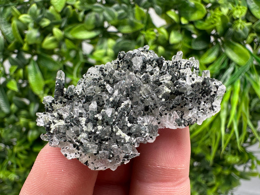 Chlorite Quartz Mineral Specimen, Borieva Mine, Bulgaria