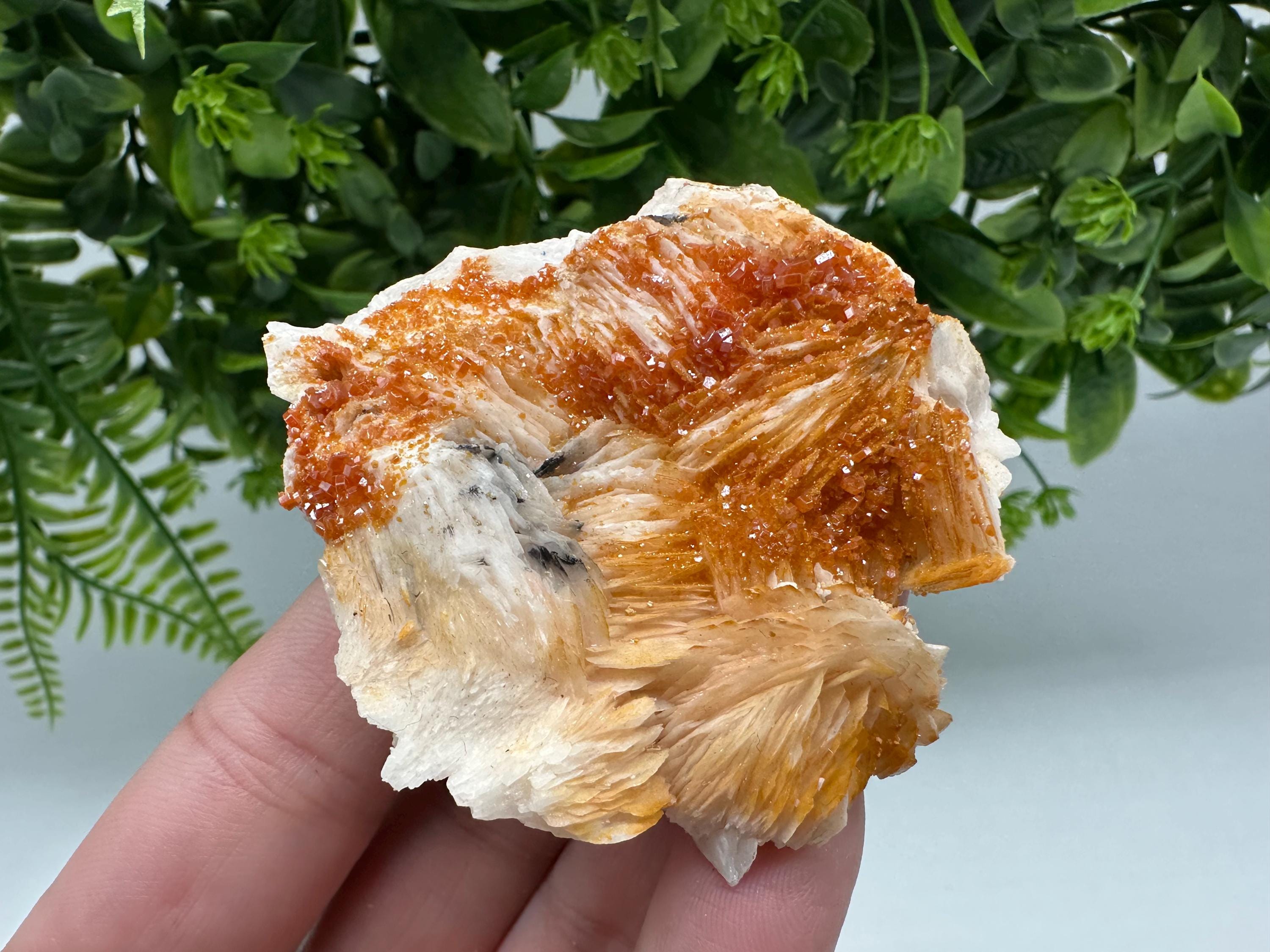 Red Vanadinite on Barite Crystal Specimen, Moroccan Mineral Cluster