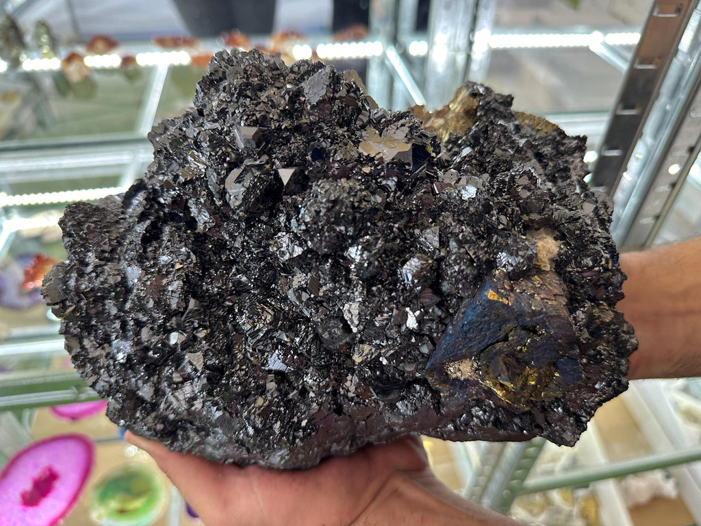 EXTRA LARGE,Incredible Black Sphalerite whit Chalcopyrite,Pyrite,Bornite,Covelline from Borieva mine,Madan,Bulgaria,collection specimen,gift