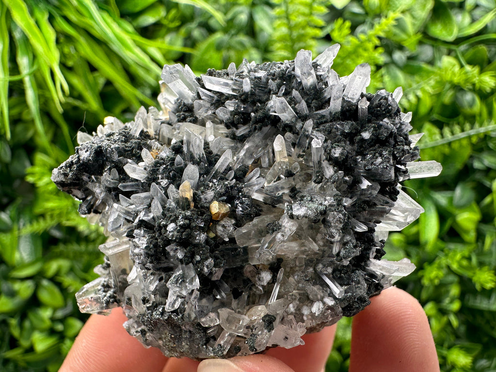 Chlorite Quartz Crystal: Iron Oxide Mineral Specimen, Borieva Bulgaria