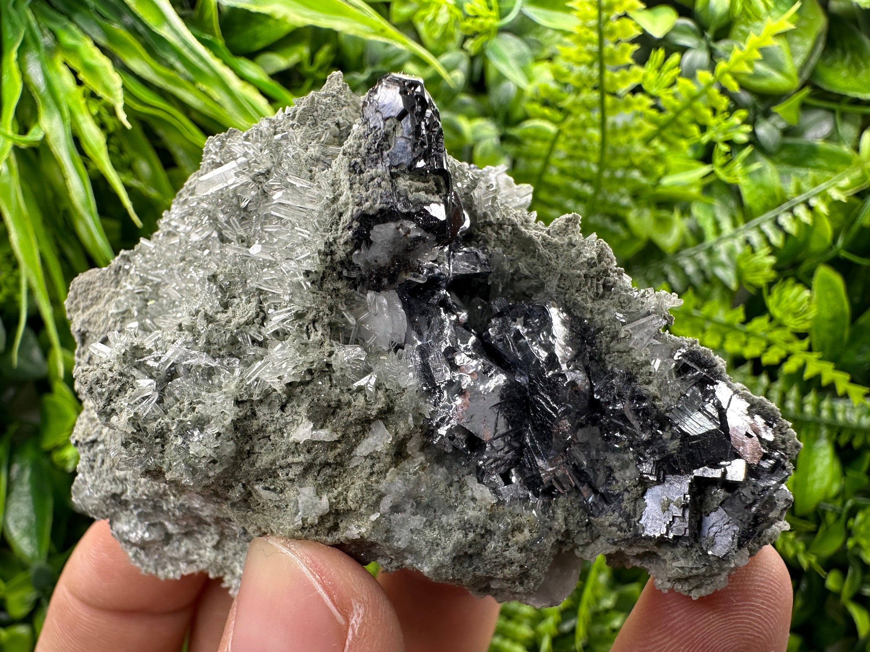 Galena Sphalerite on Quartz, Borieva Mine Mineral Specimen
