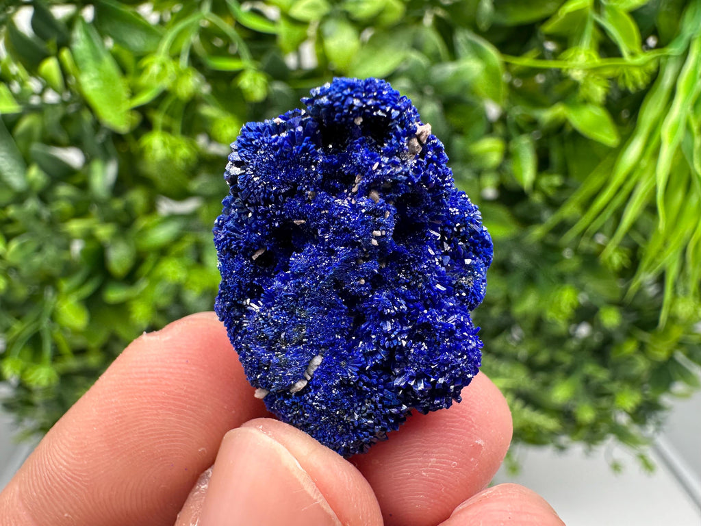 Crystallized Azurite-Kerrouchen,Morocco-Blue Azurite Specimen-High Quality Blue Azurite-Azurite Mineral Specimen, gemmy,lustrous of Azurite