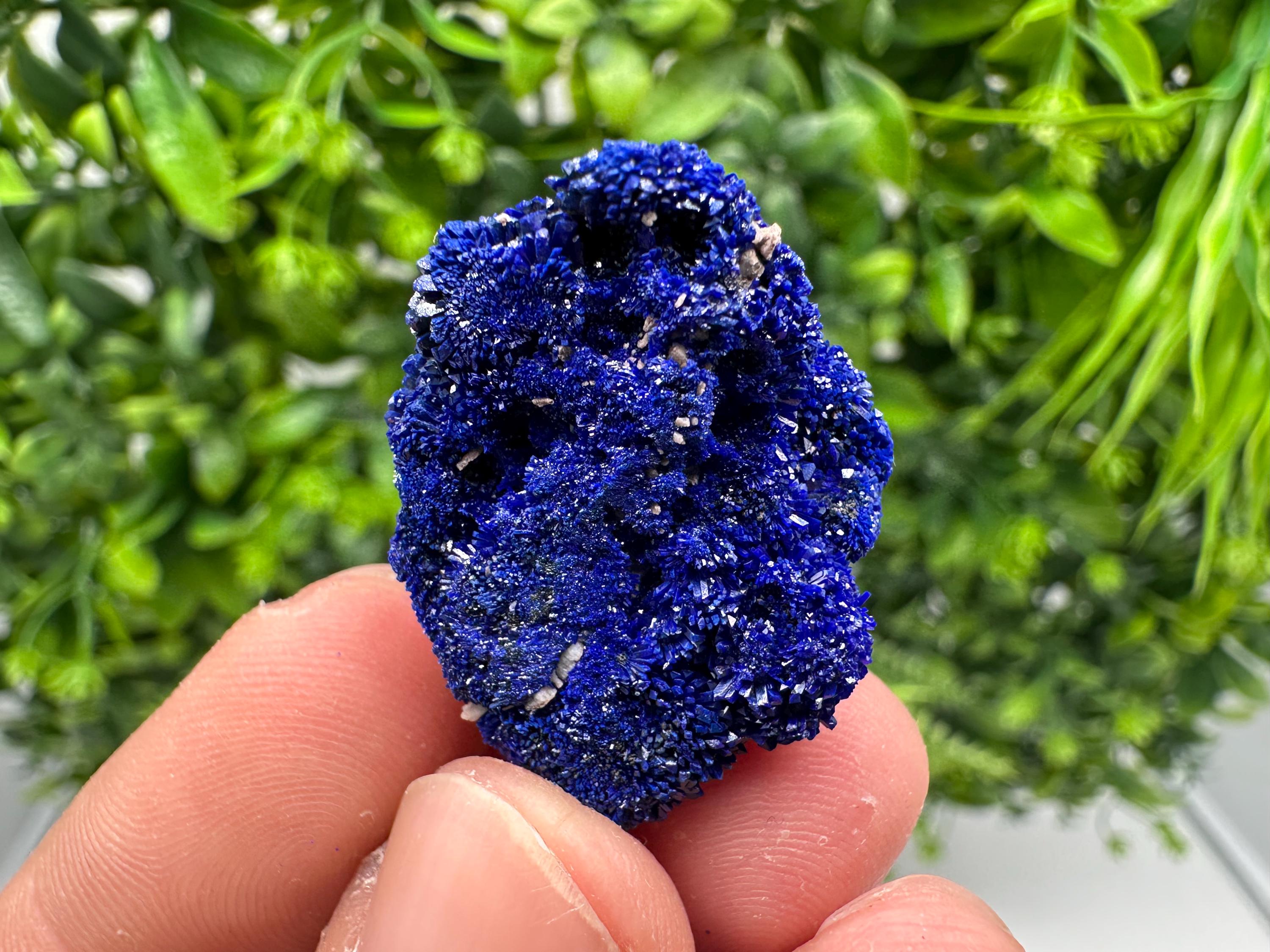 Crystallized Azurite-Kerrouchen,Morocco-Blue Azurite Specimen-High Quality Blue Azurite-Azurite Mineral Specimen, gemmy,lustrous of Azurite