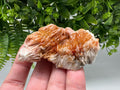 Red Vanadinite on Barite from Marocco,crystal minerals Speciment cluster Vanadinite crystal Vanadinite Geology Vanadinite cluster minerals