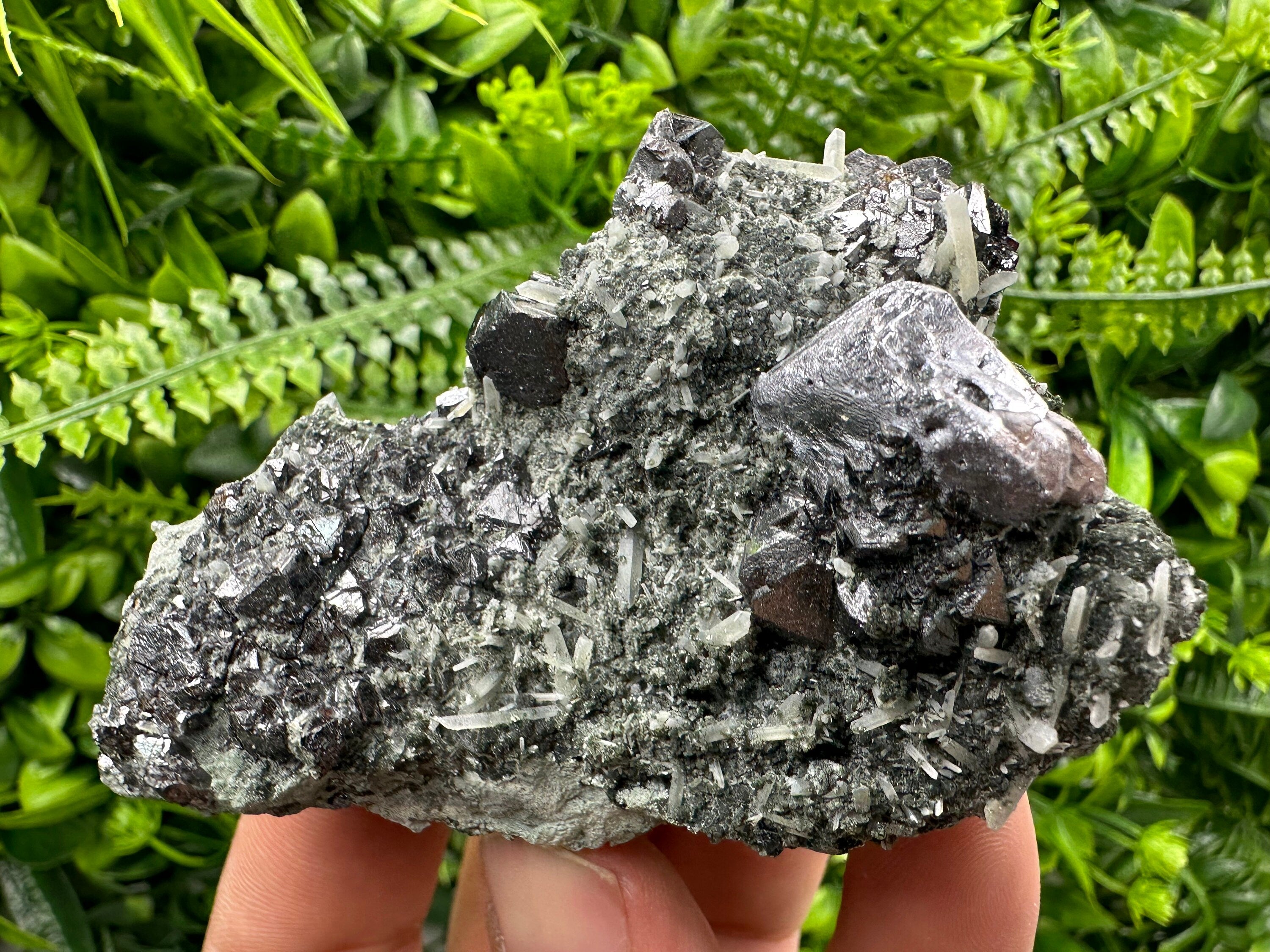 Galena Sphalerite Quartz Mineral Specimen, Borieva Mine Bulgaria