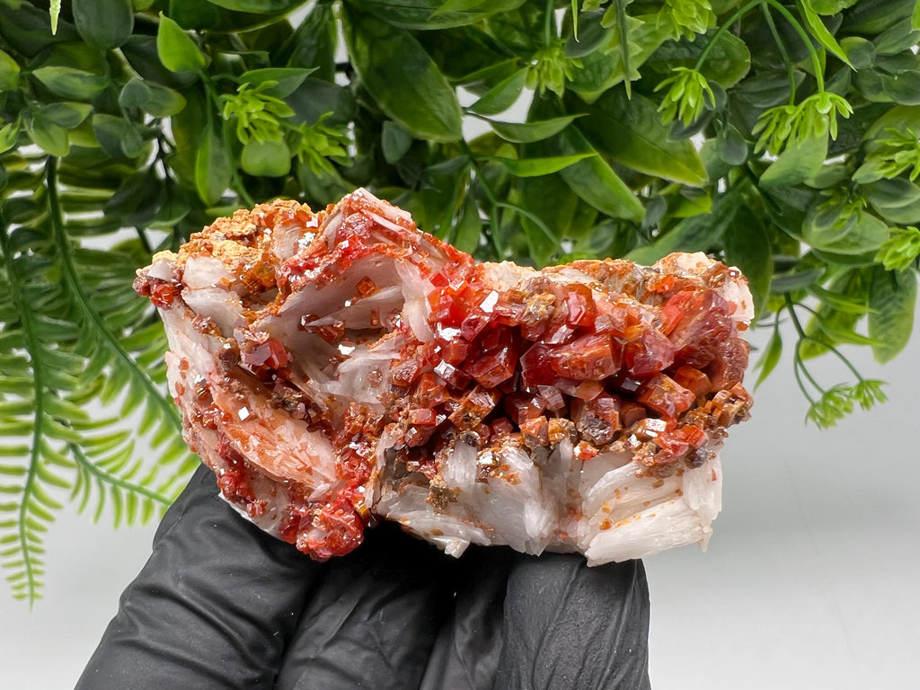 Red Vanadinite on Barite from Marocco,crystal minerals Speciment cluster Vanadinite crystal Vanadinite Geology Vanadinite cluster minerals