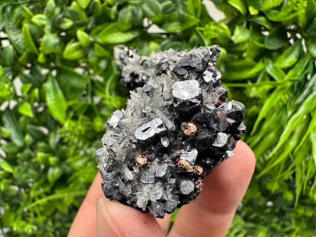 Galena, Quartz, Calcite on Chlorite, Borieva Mine Mineral Specimen