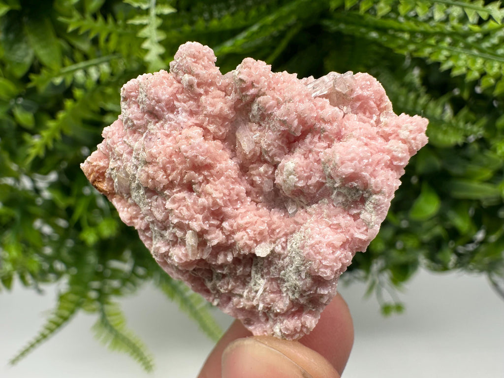 Rhodochrosite on Quartz, Starnica Mine, Bulgaria