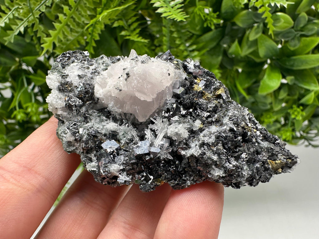 Pyrite on Green Quartz Specimen, Borieva Mine, Bulgaria