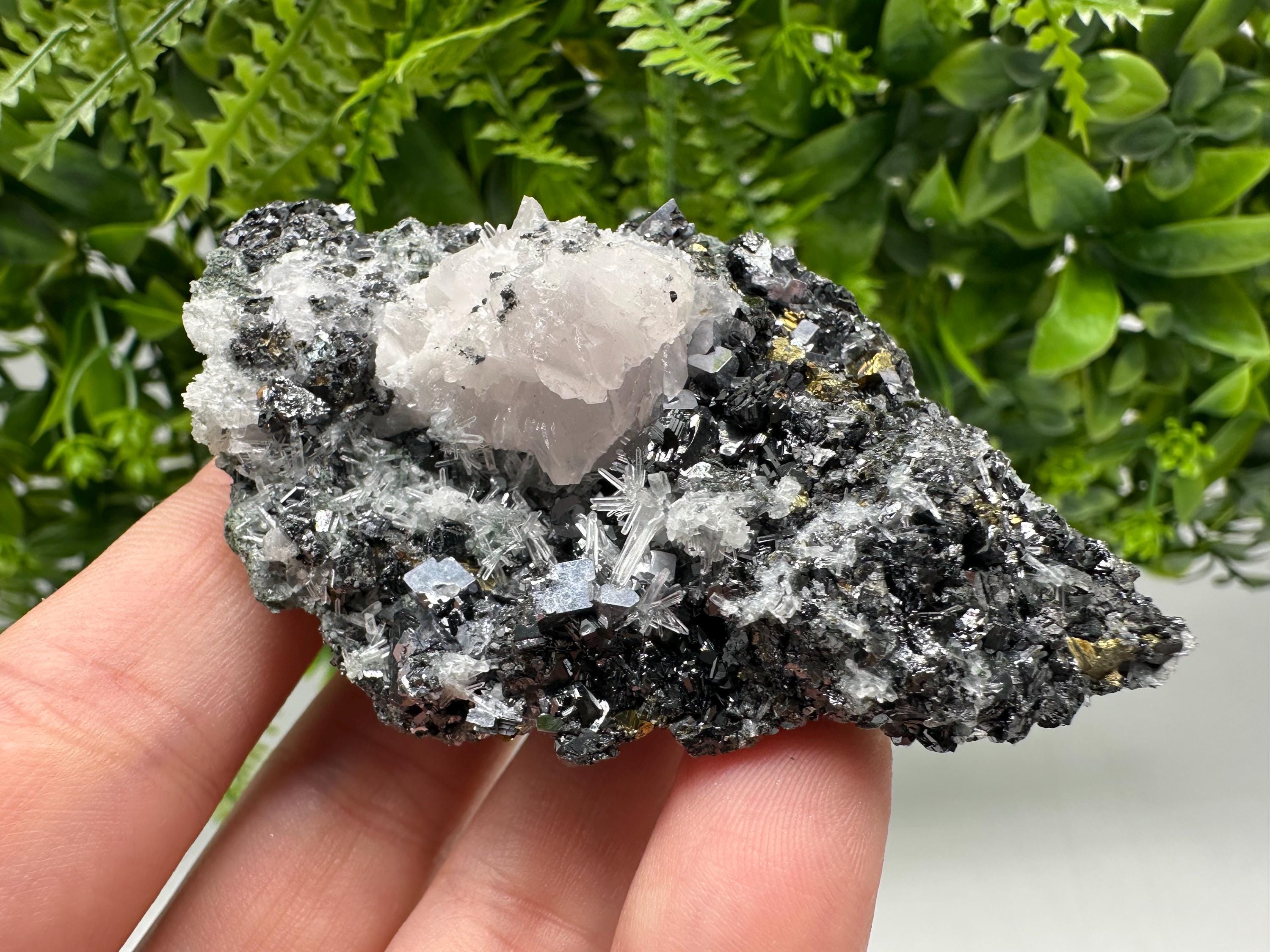 Pyrite on Green Quartz Specimen, Borieva Mine, Bulgaria