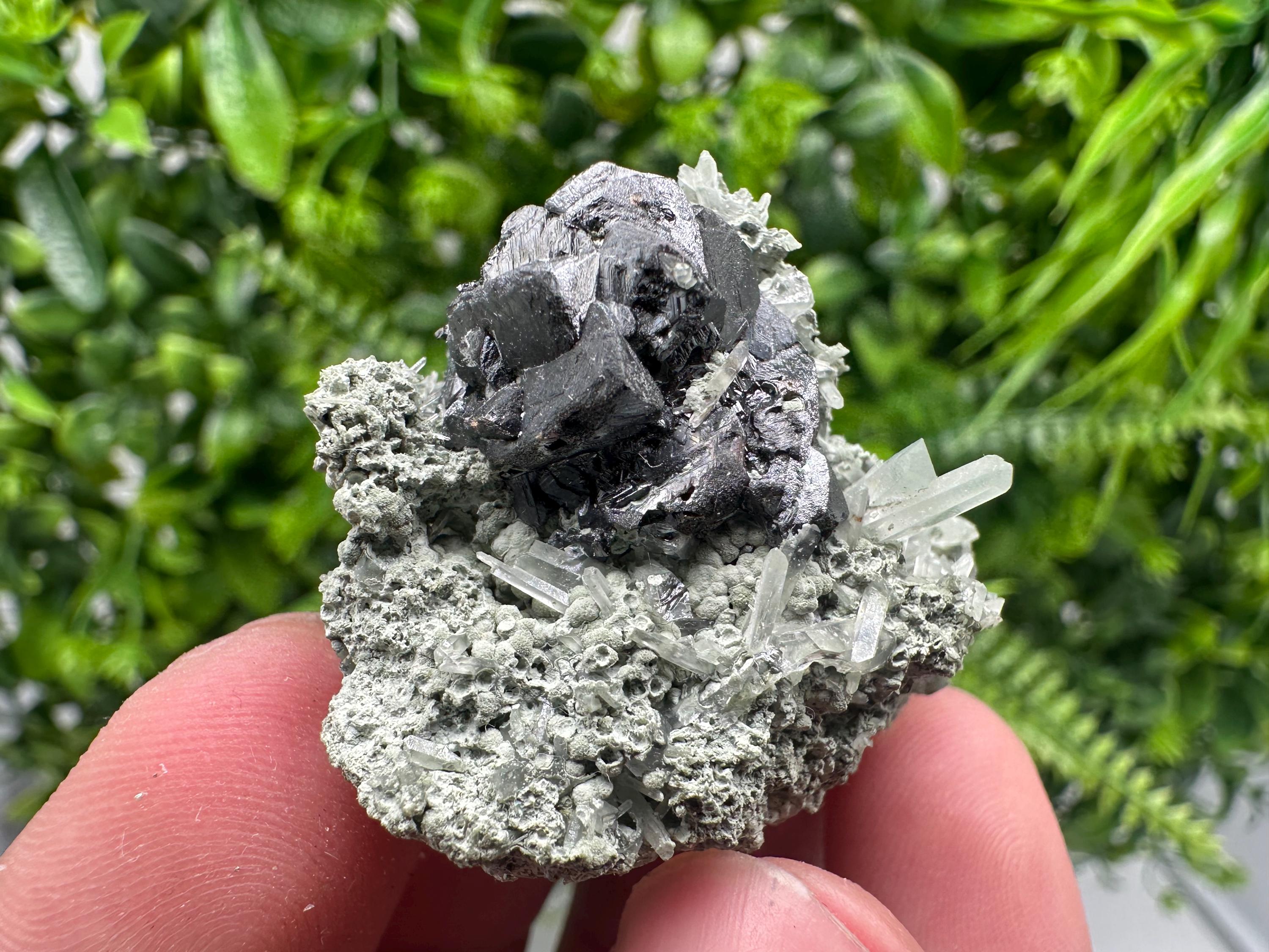 Sphalerite with Chlorite Mineral Specimen - Borieva Mine, Bulgaria