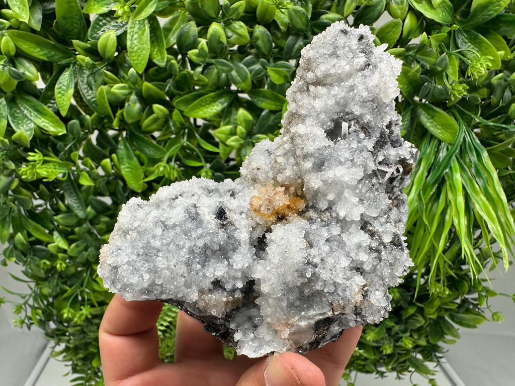 Chalcedony Micro Crystal Specimen: Krushev Dol Mineral Collection