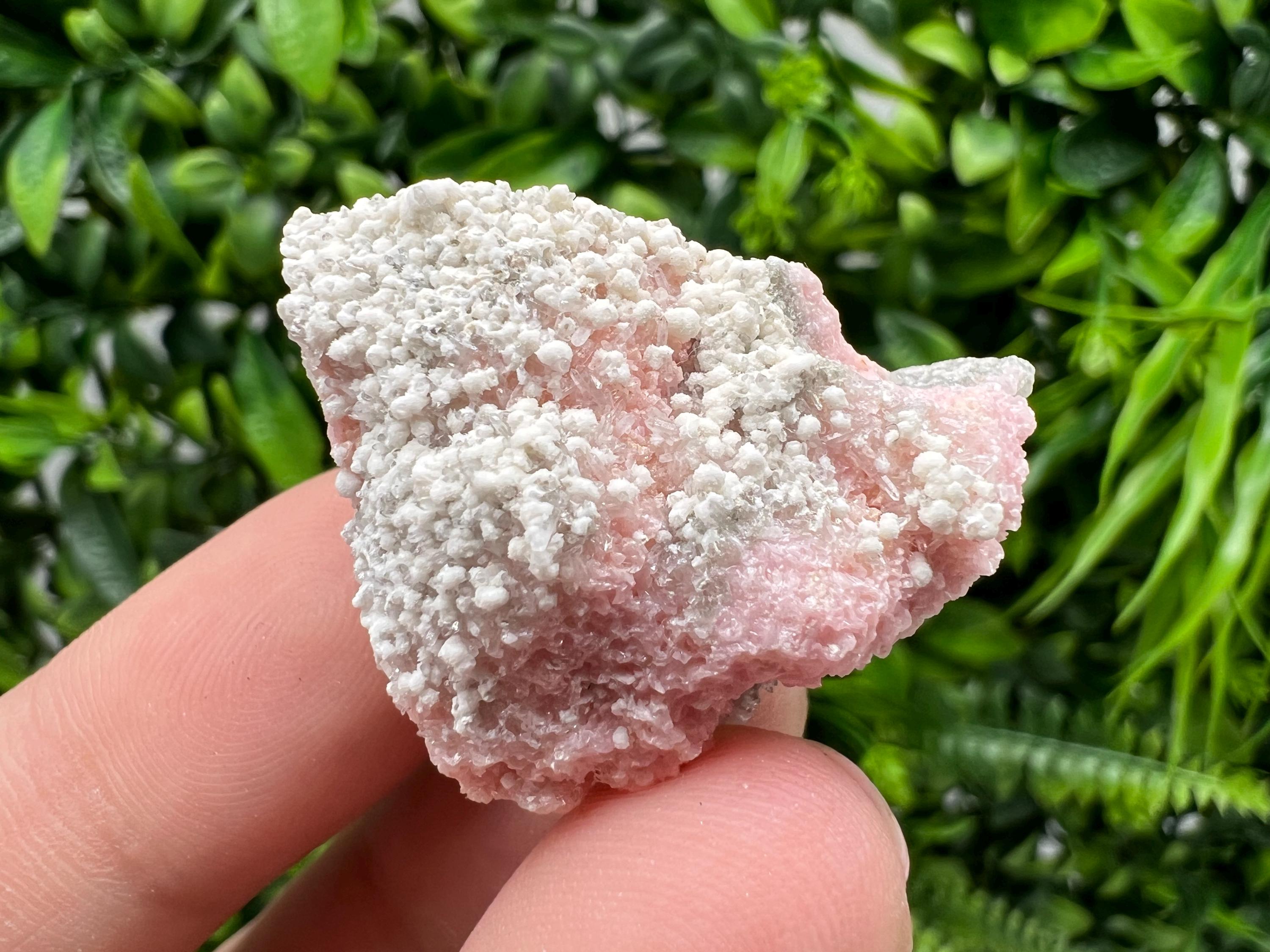 RARE Rhodochrosite with White Calcite, Starnica Mine, Bulgaria