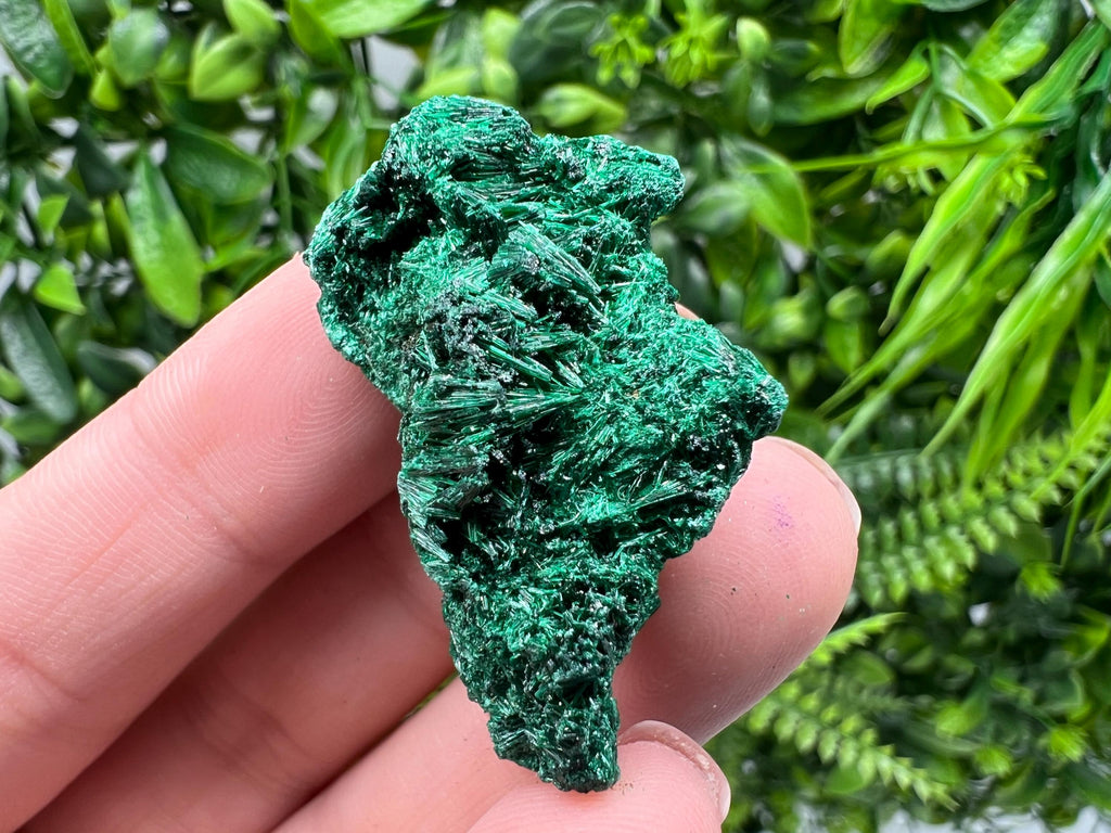 Malachite Crystal from Congo,Minerals,Crystals from Congo,Green Malachite, Malachite,Natural Malachite,Malachite Stone,Chakra, Specimens