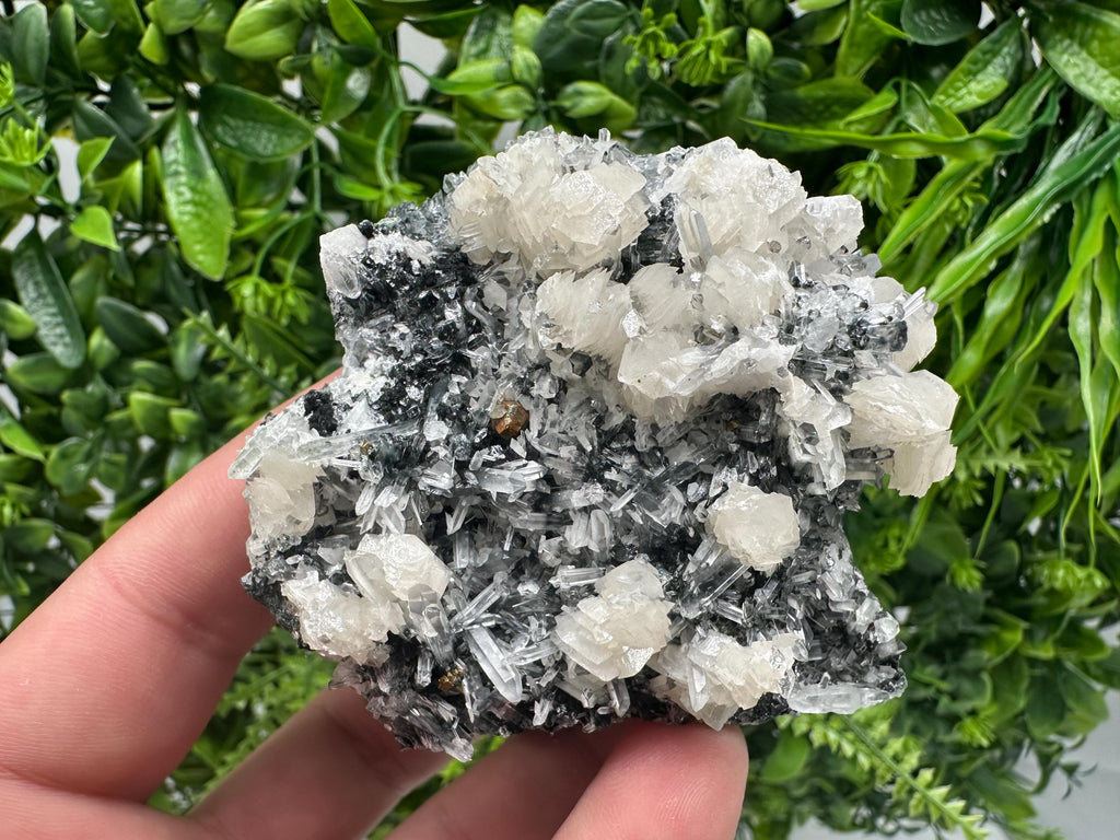 UV Fluorescence Calcite on Sphalerite Quartz, Borieva Bulgaria Mineral Specimen