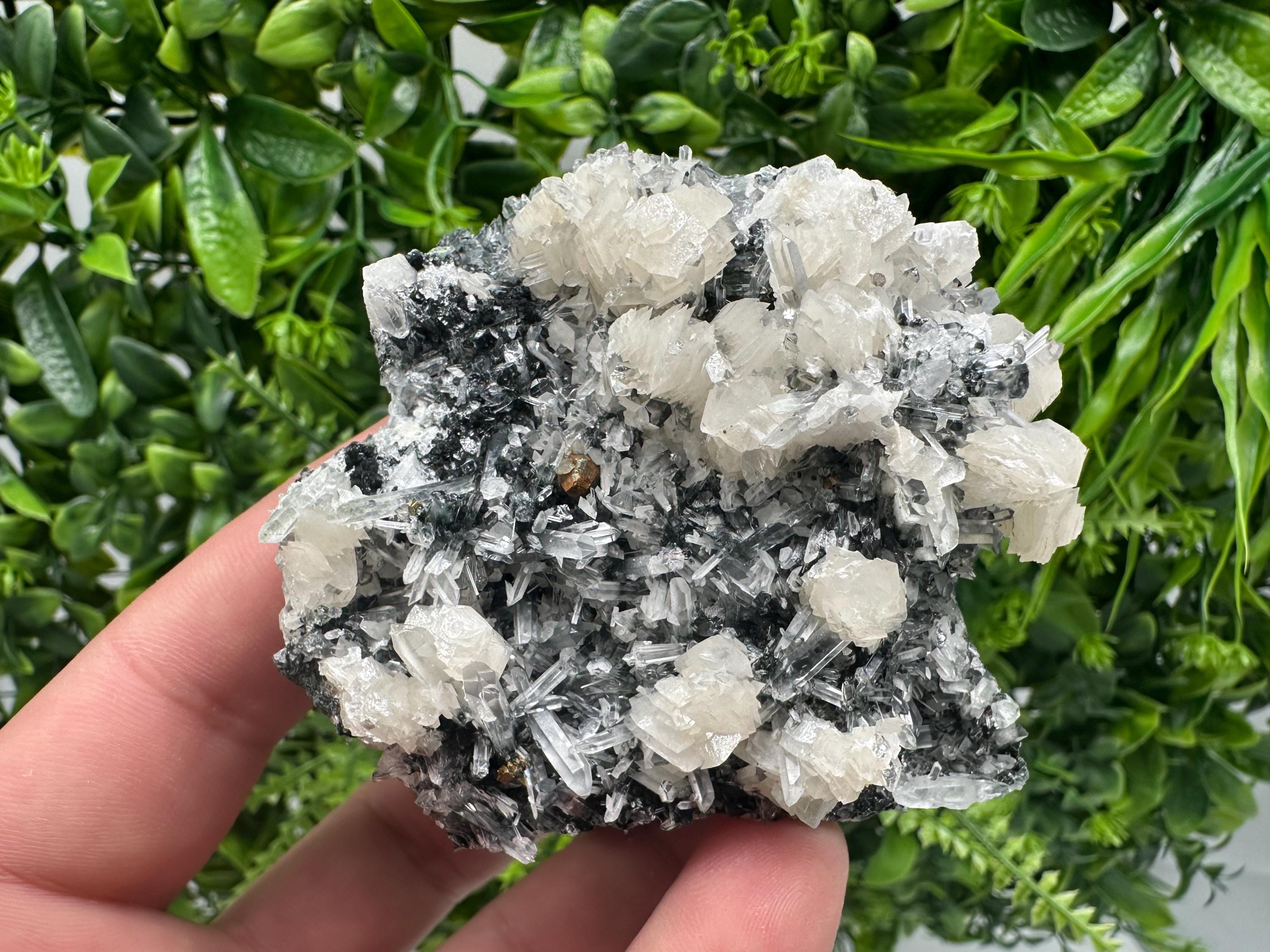 UV Fluorescence Calcite on Sphalerite Quartz, Borieva Bulgaria Mineral Specimen