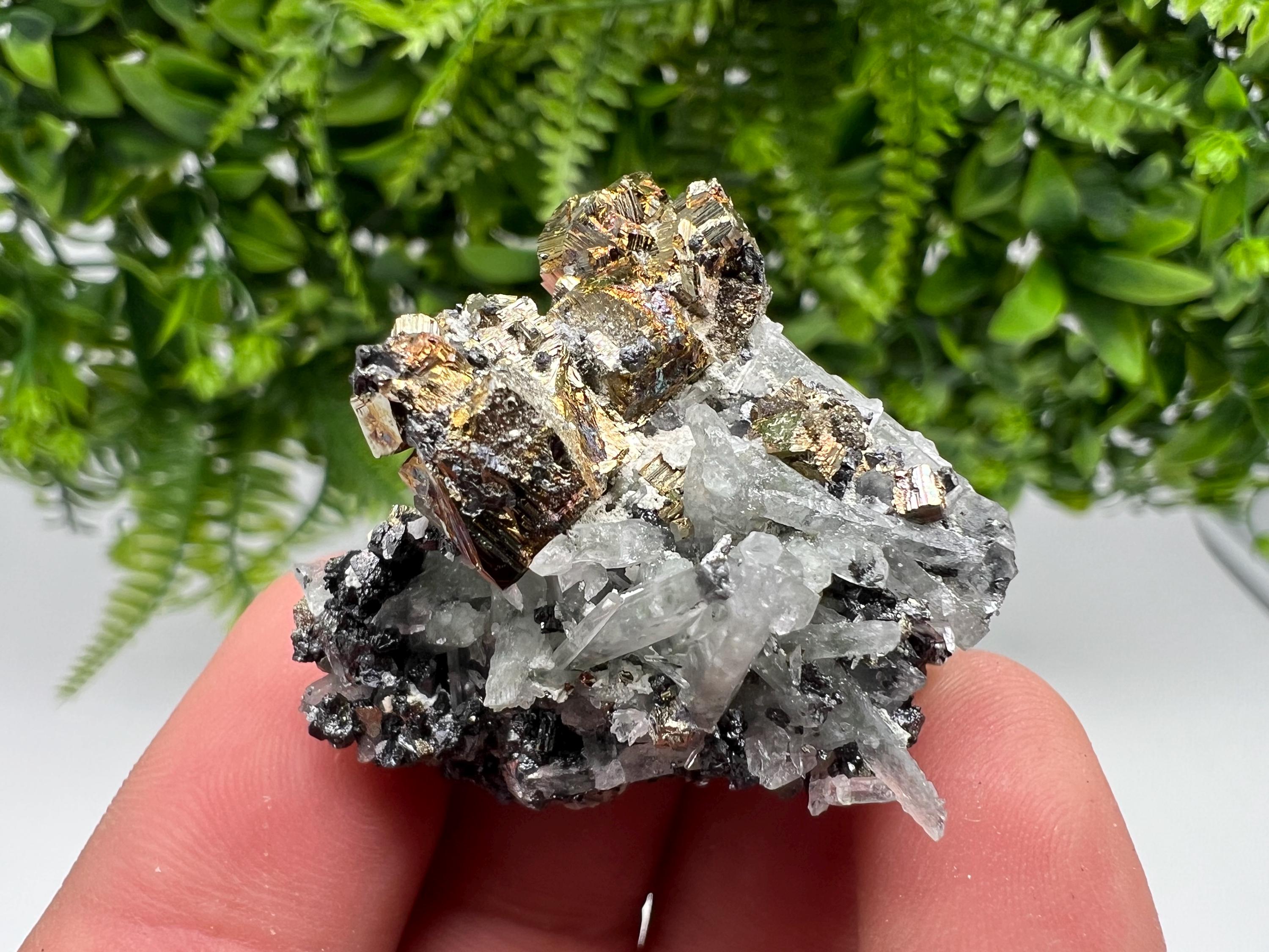 Wonderful Quartz whit Pyrite natural minerals crystal souvenir stone,collection minerals specimen,gift,home decor crystal,Borieva mine,
