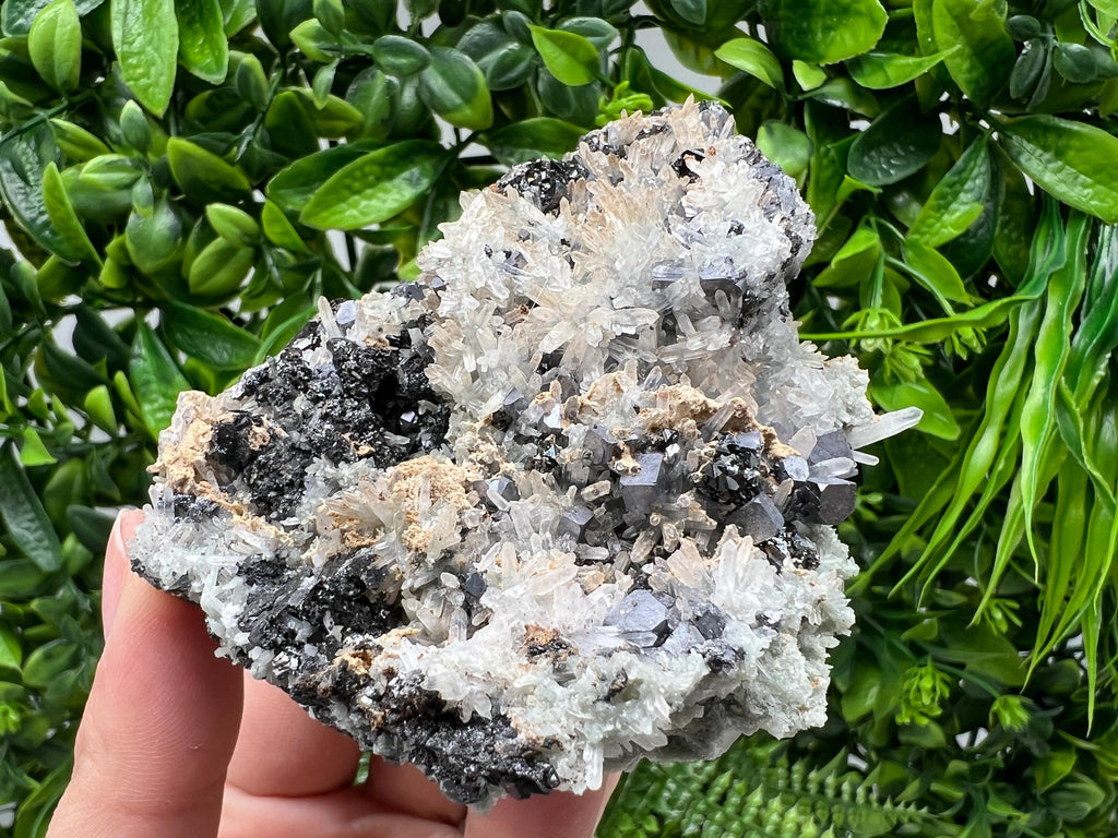 Aesthetic Natural shiny Galena whit Siderite and Quartz from 9 th September mine,Bulgaria,collection specimen,rare galena,Galena cluster